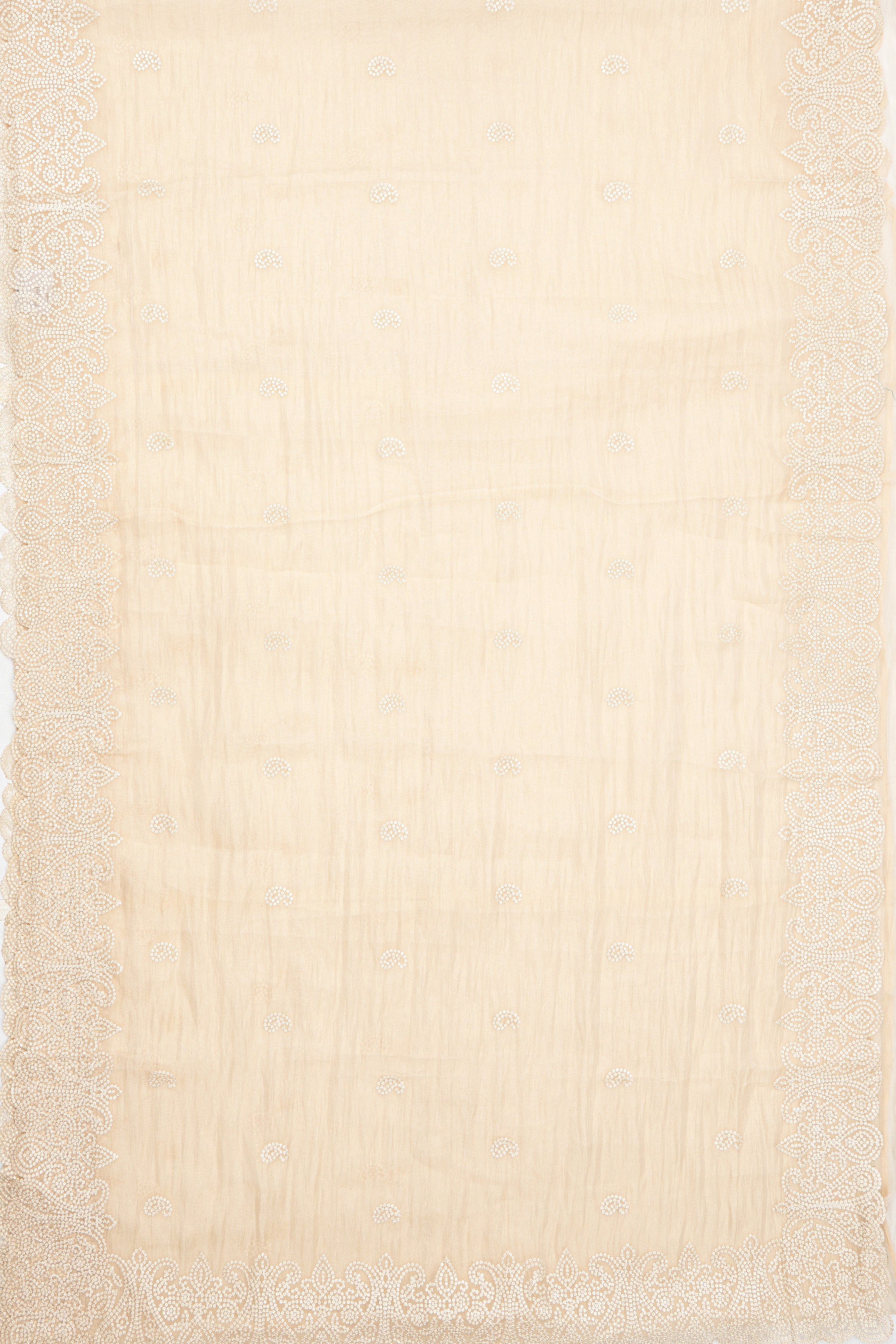 White Organza Saree with Sequins