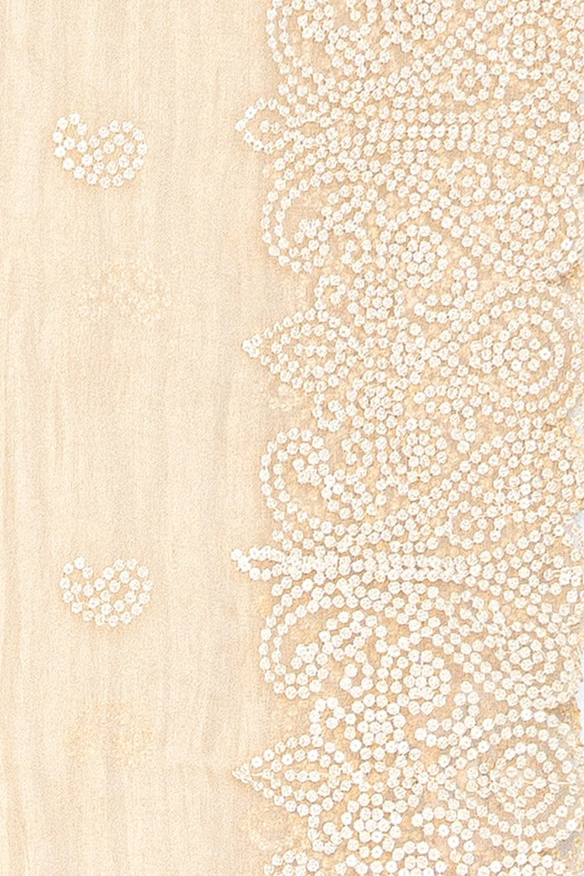 White Organza Saree with Sequins