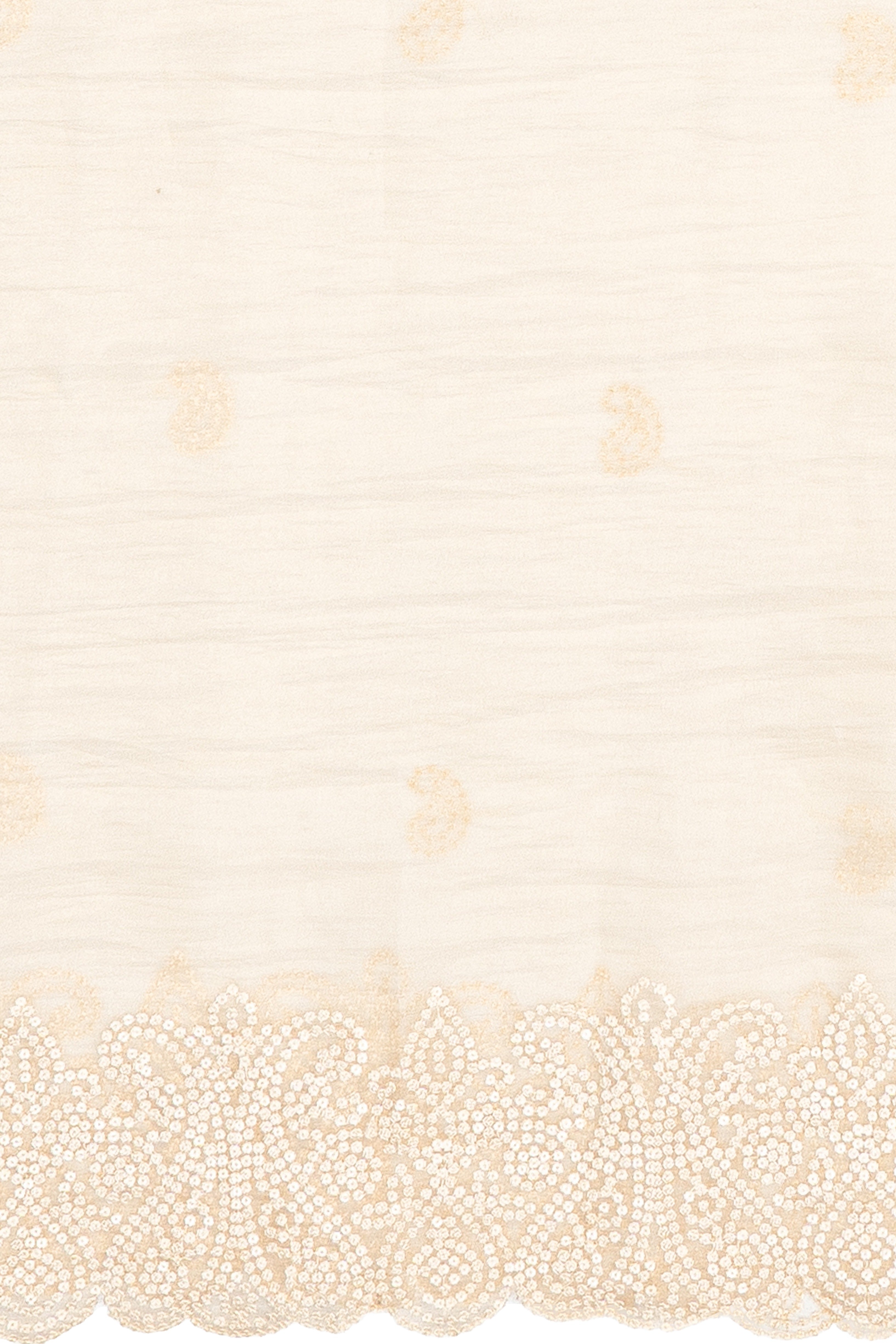 White Organza Saree with Sequins