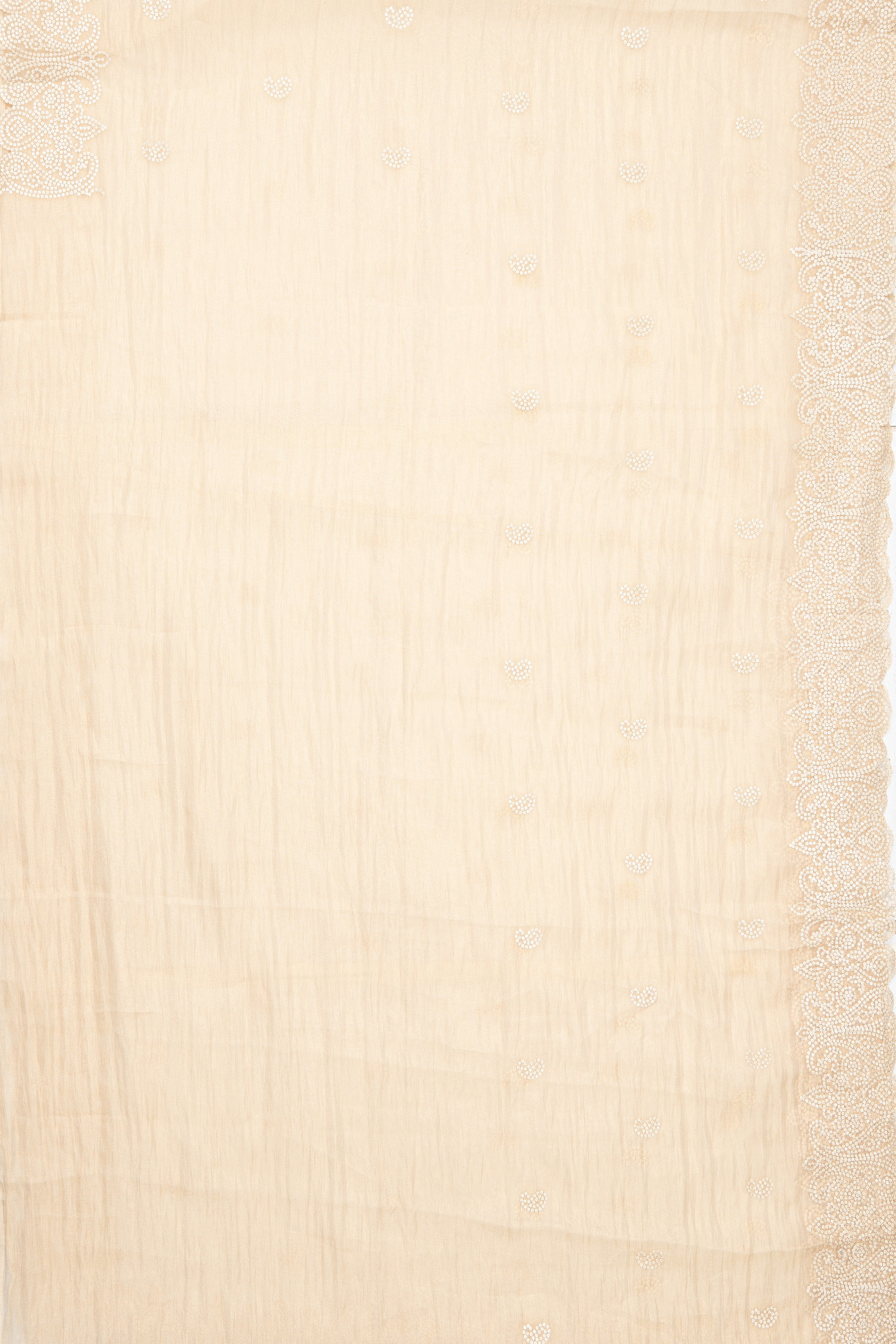 White Organza Saree with Sequins