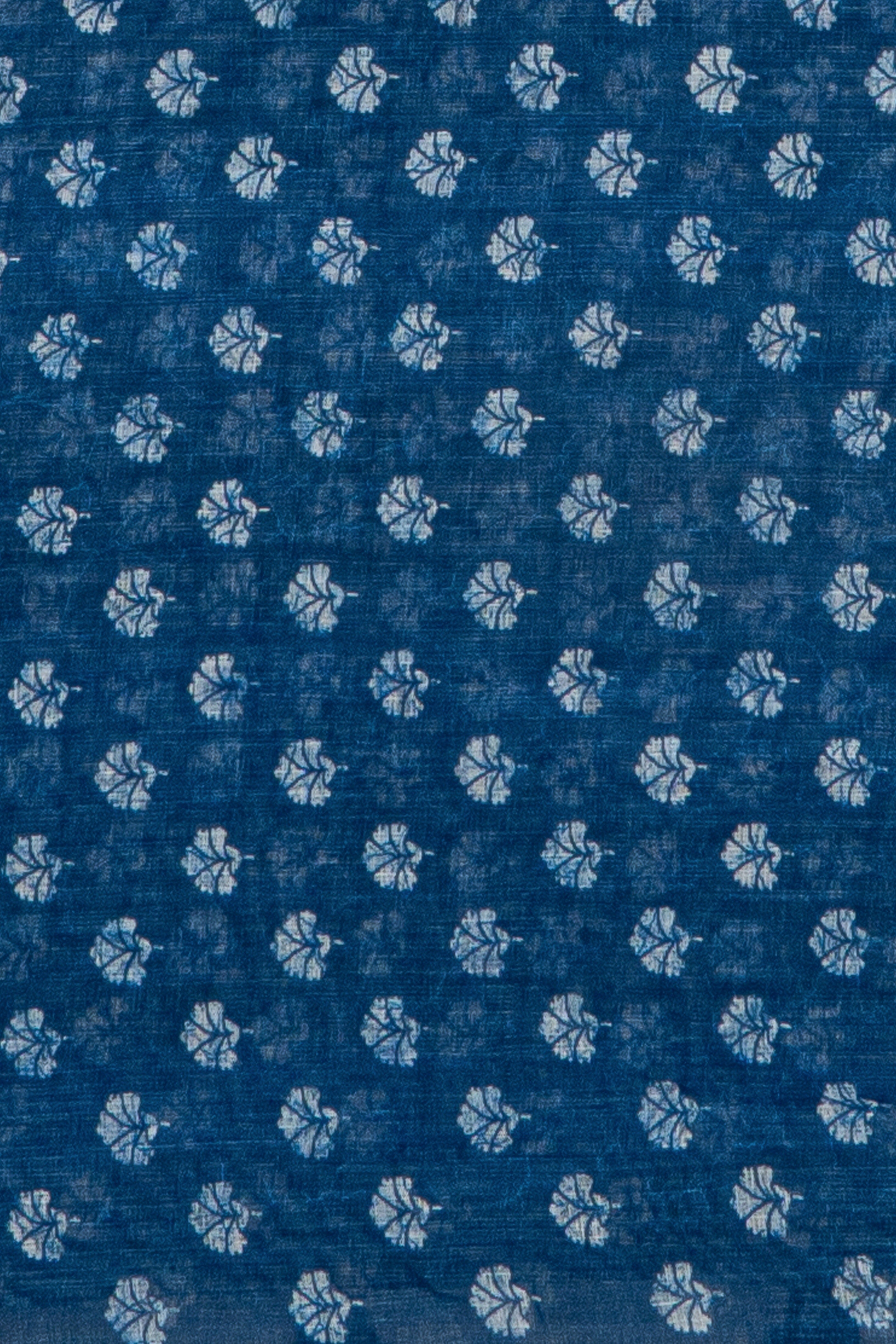 Blue Cotton Saree with Peacock Print