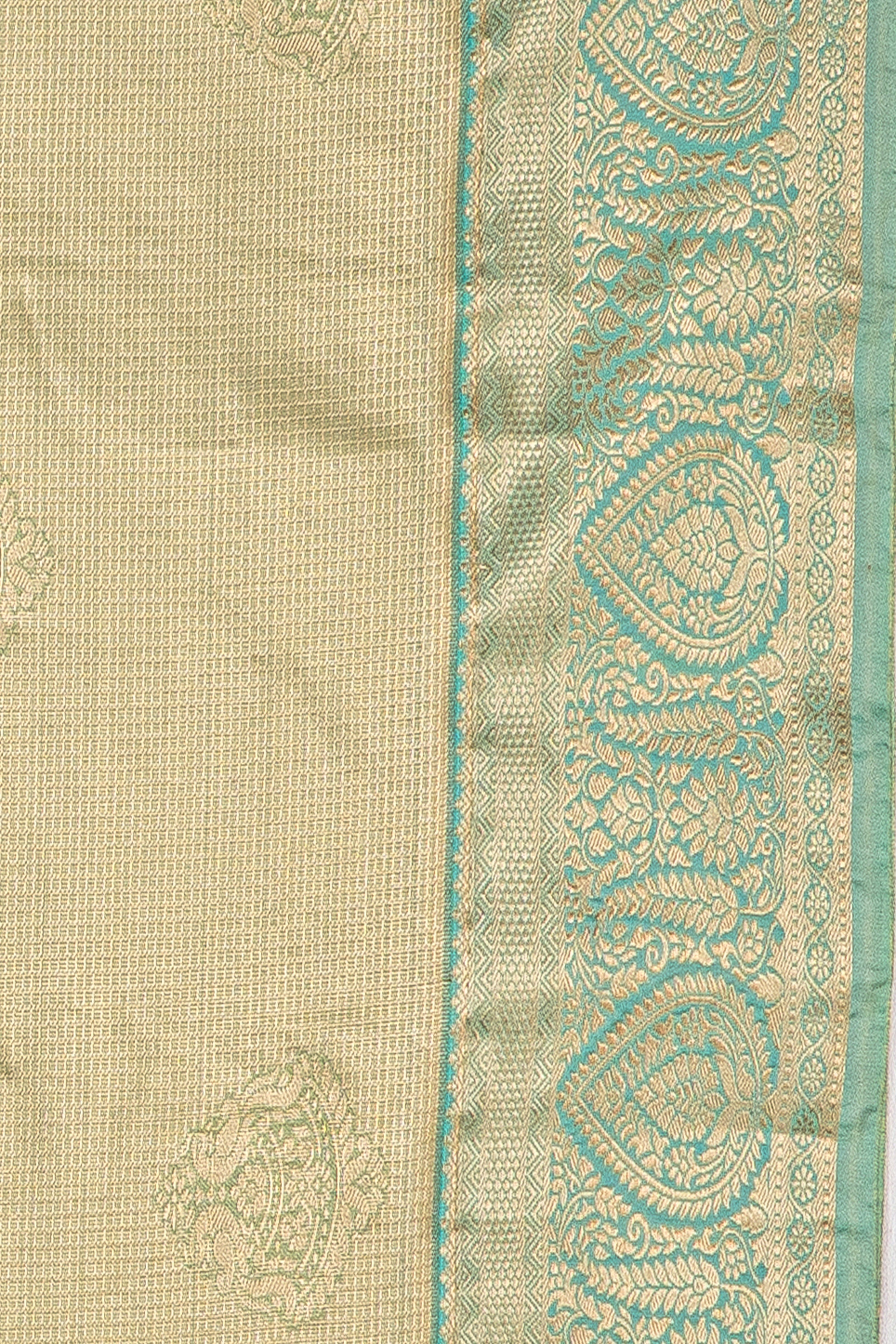 Pastel Green Tissue Silk Saree