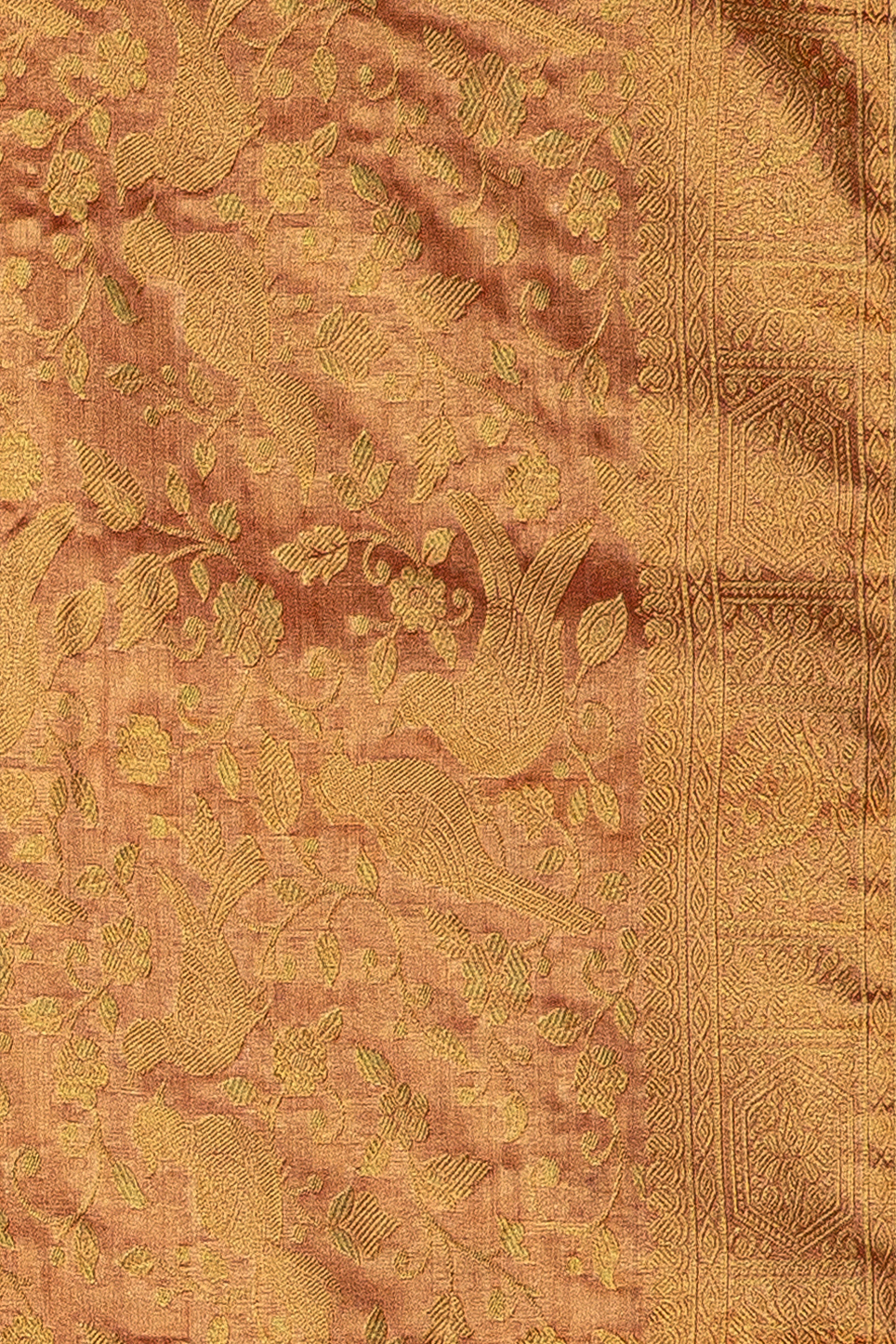 Orange Gold Tissue Silk Jaal Brocade Saree