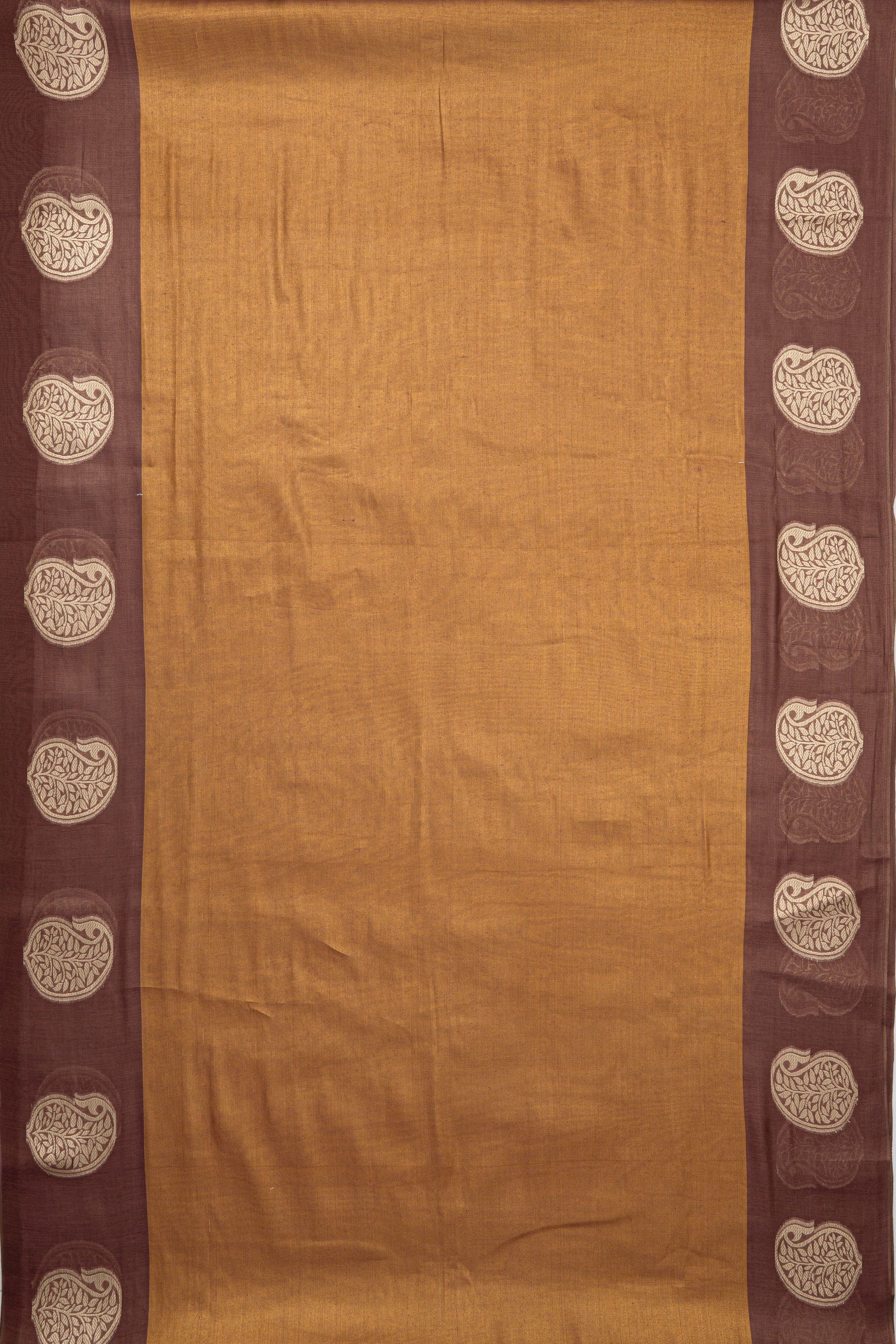 Bronze Tissue Silk Saree with contrast Dusty Pink border