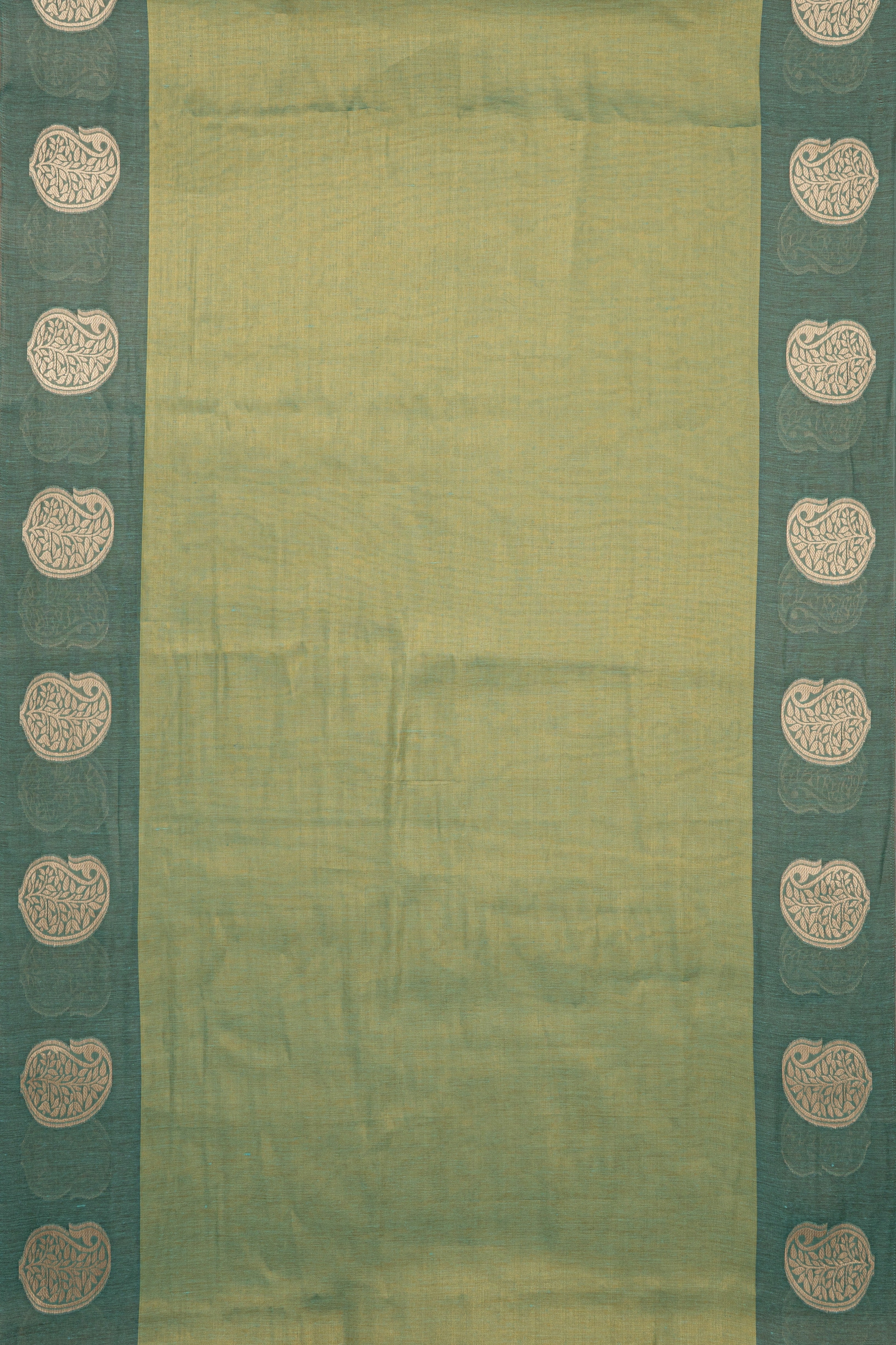 Green Tissue Silk Saree with contrast Forest Green border
