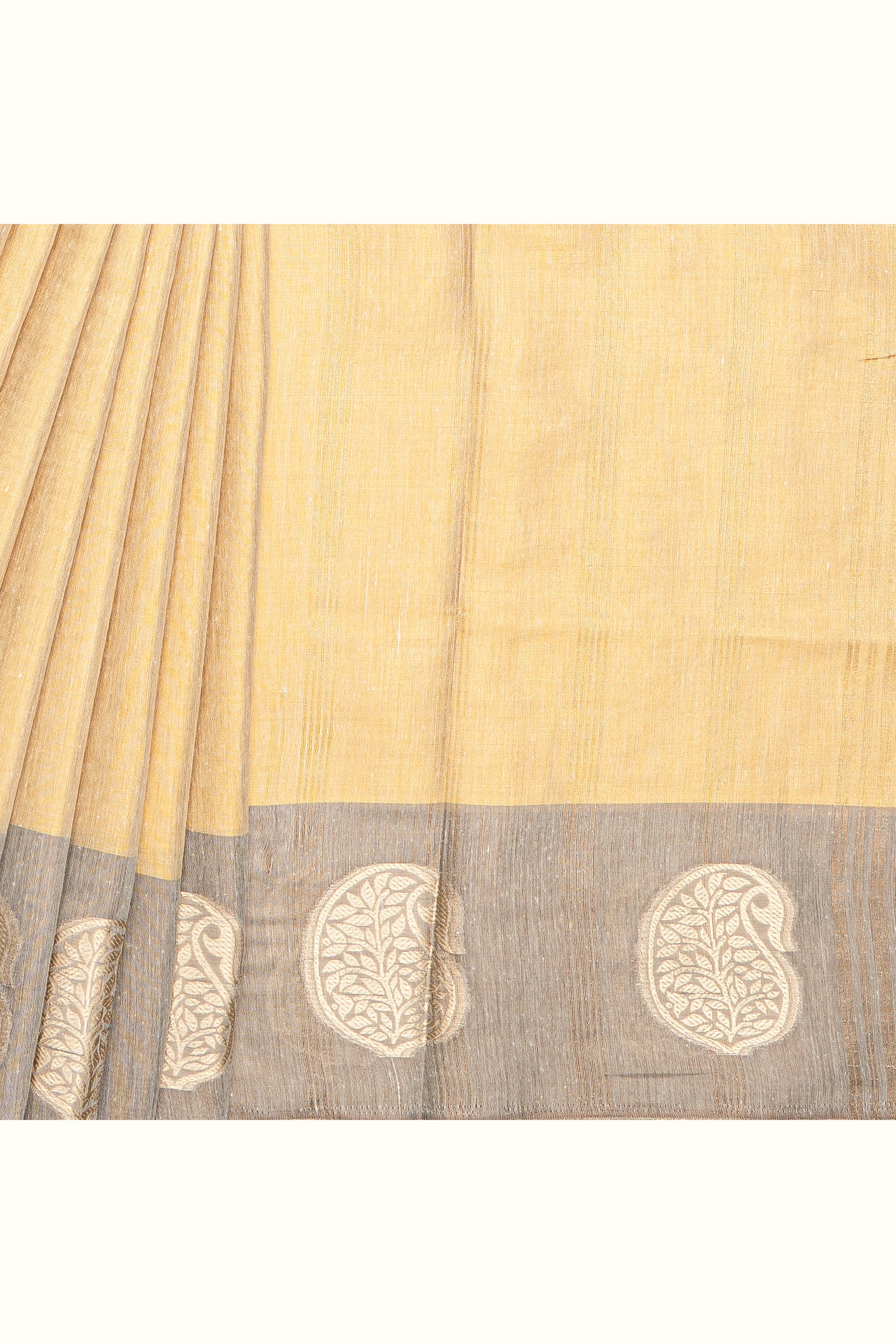 Gold Tissue Silk Saree with contrast Grey border
