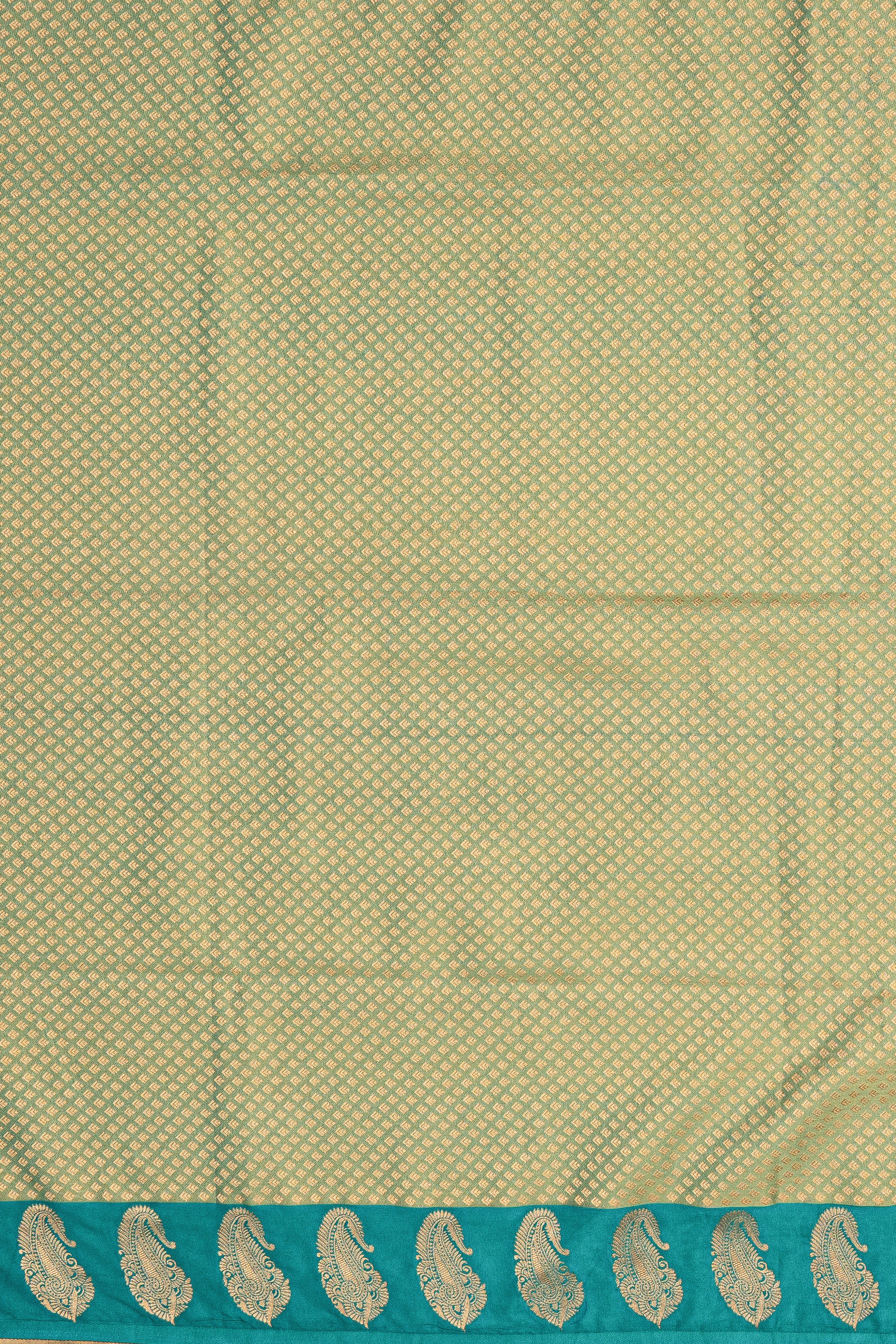 Green Tissue Silk Saree with contrast Rama Green border
