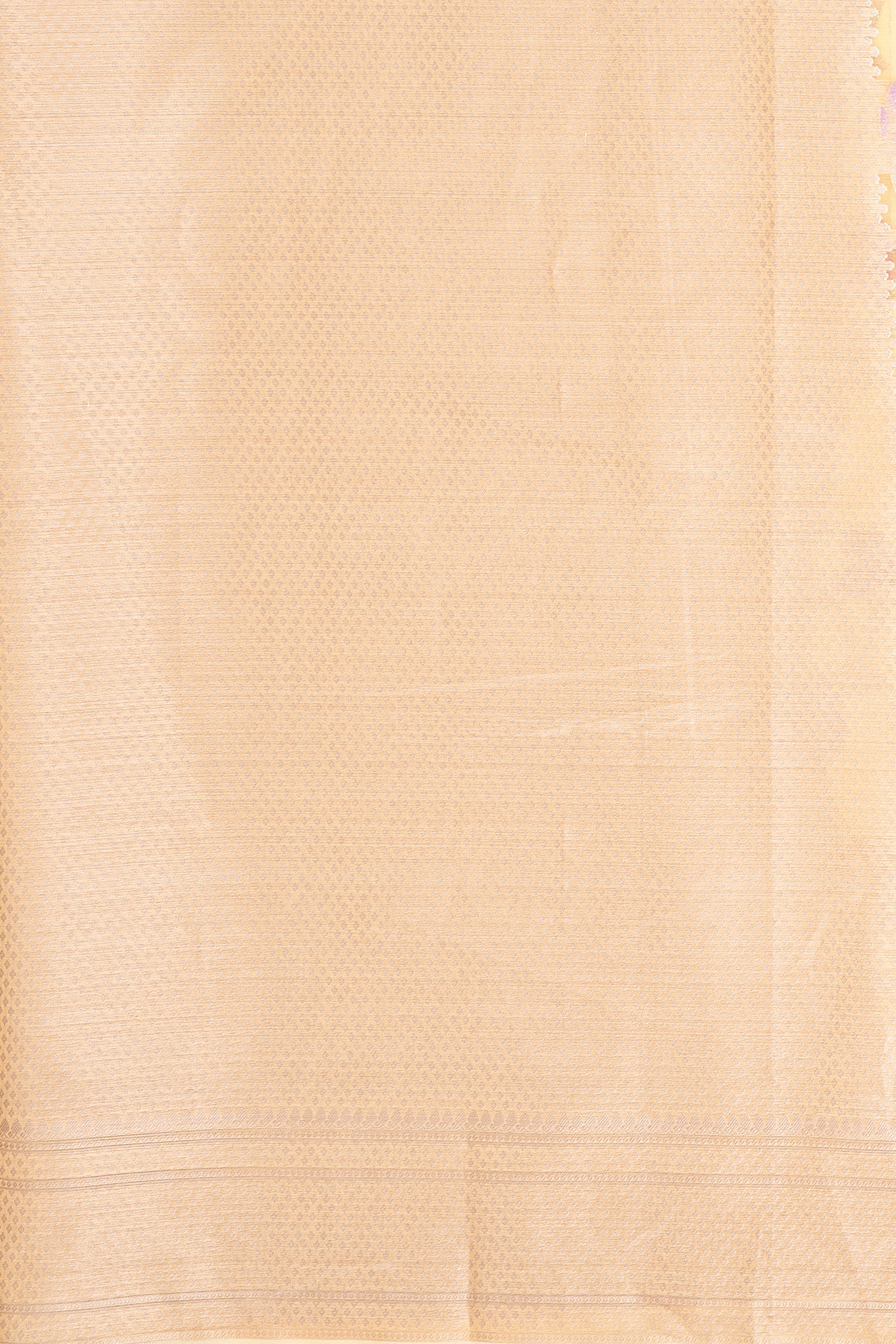 Pastel Yellow Organza Saree with Veil Zariwork