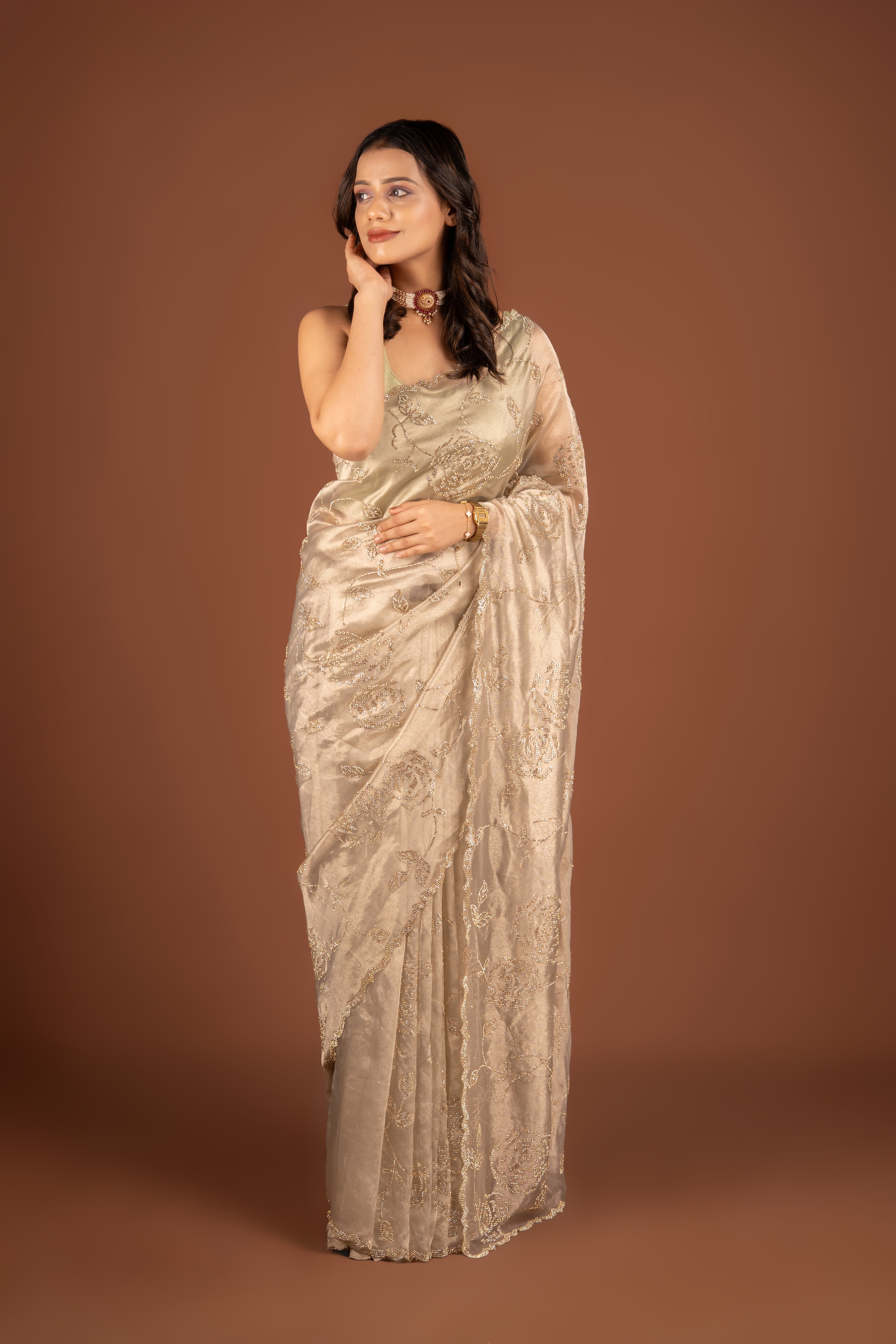 Brown Organza Saree with Stonework