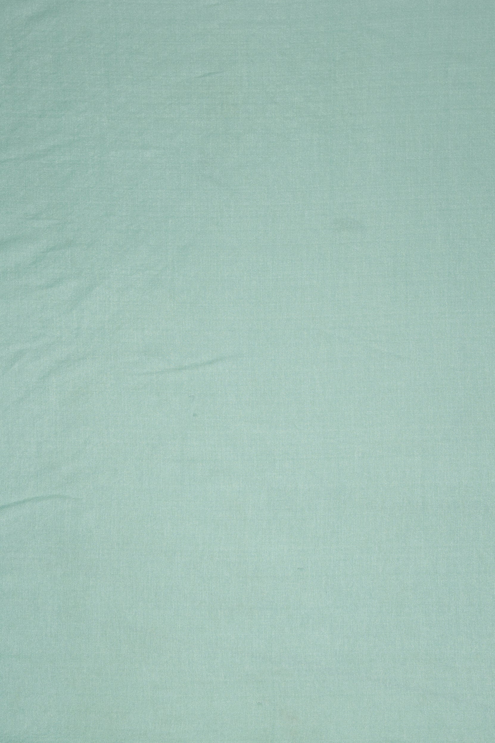 Sea Green Tussar Silk Saree
