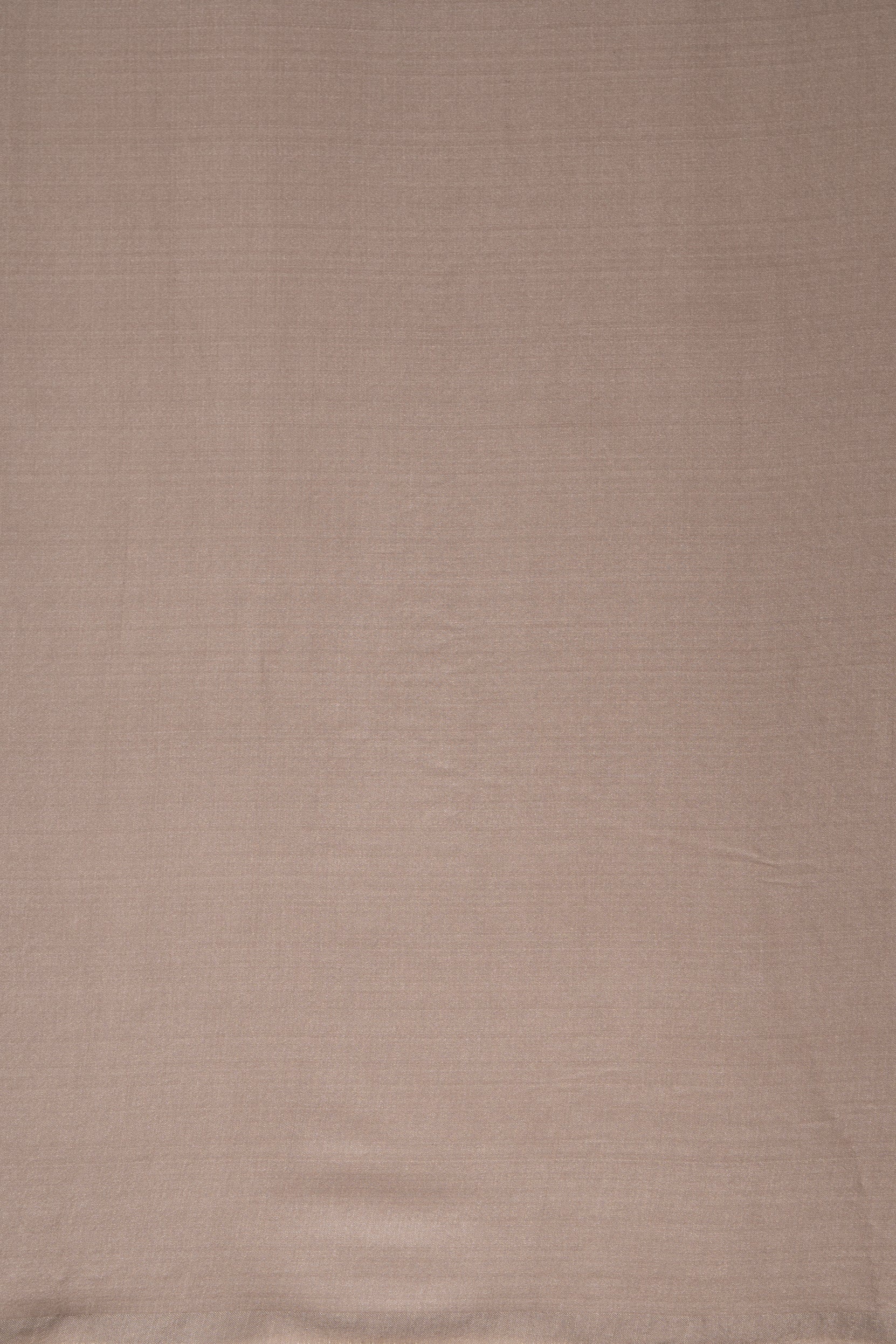 Steel Grey Tussar Silk Saree