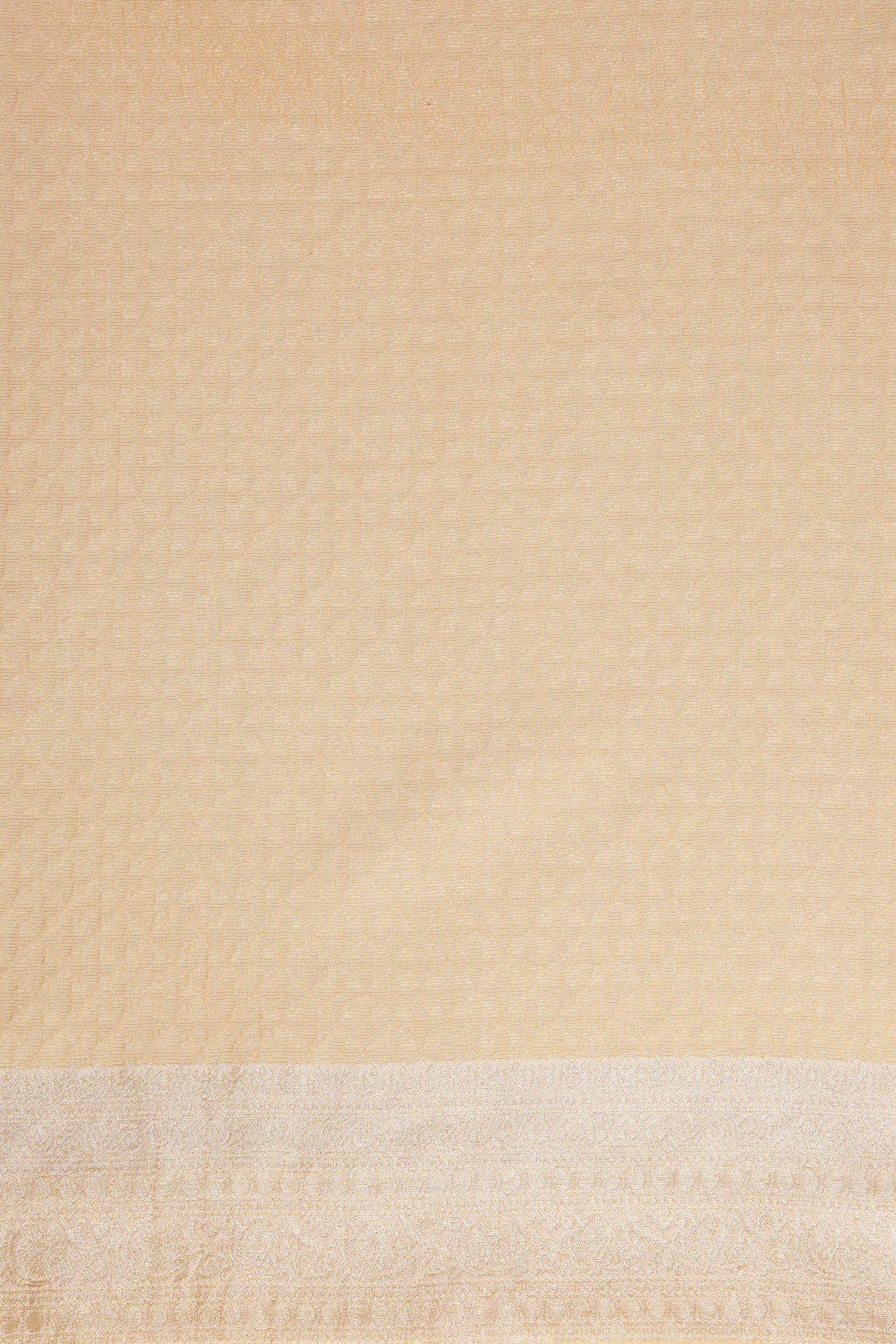 Light Orange Tissue Silk Saree