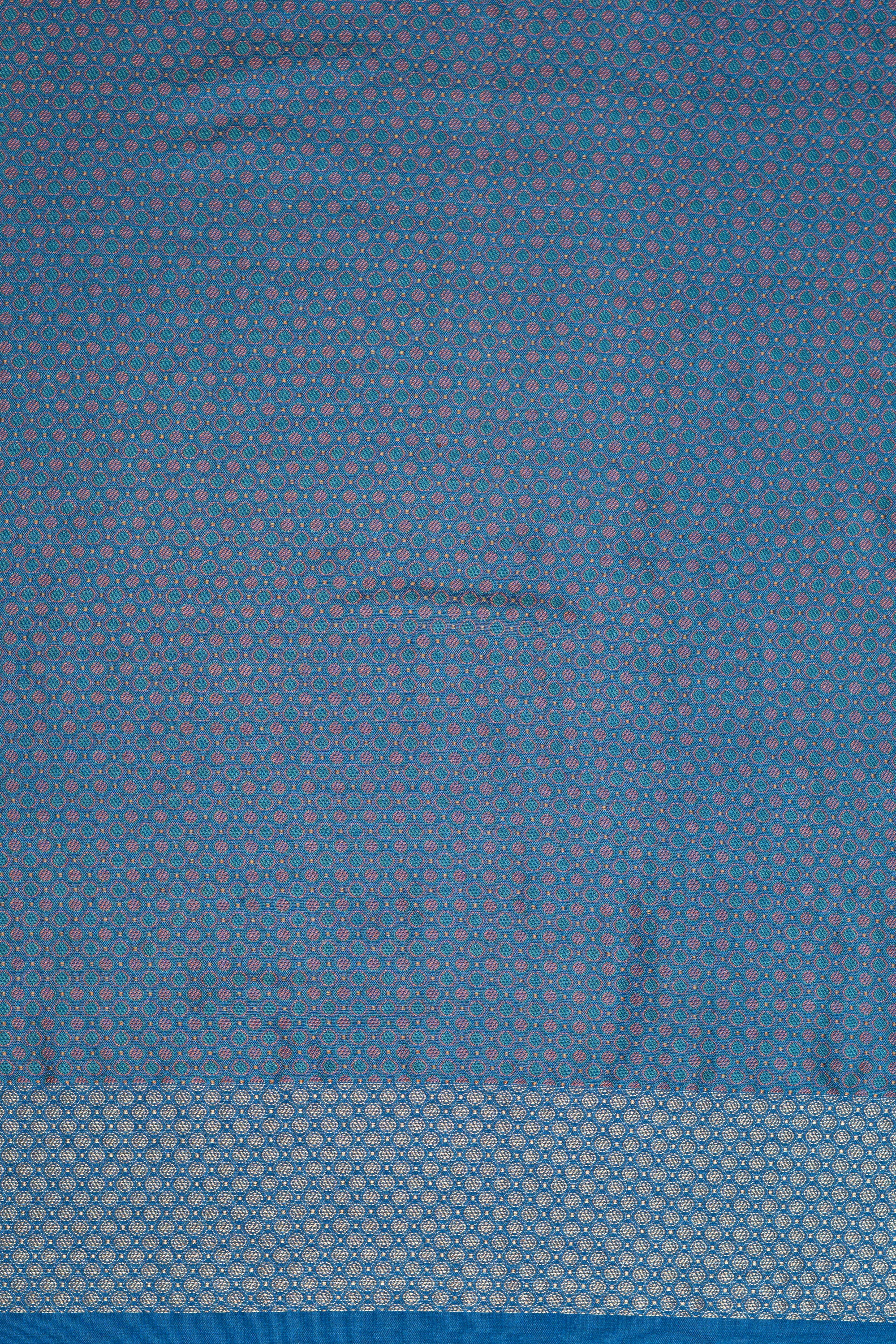 Blue Dola Silk Pashmina Saree