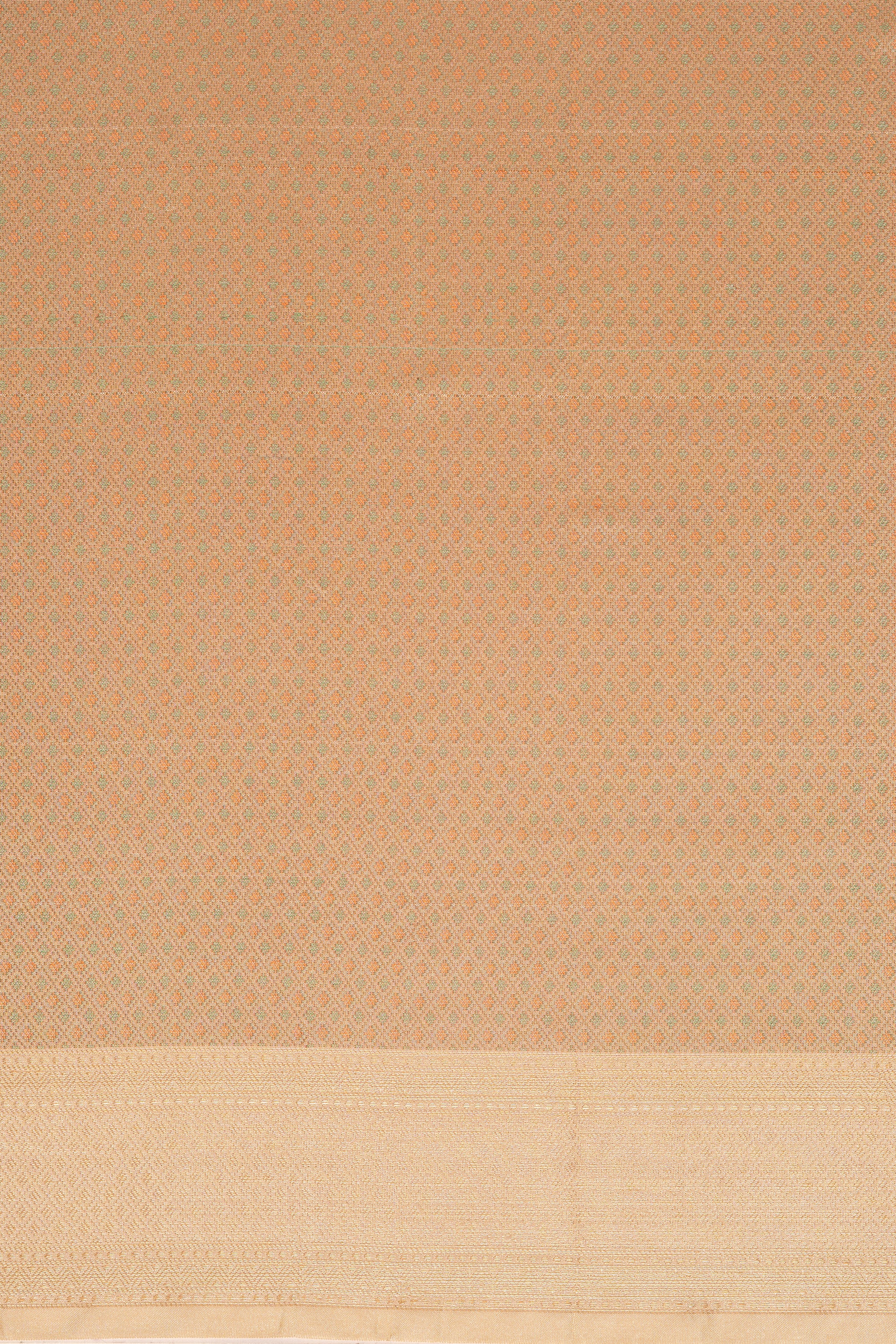 Cream Dola Silk Pashmina Saree