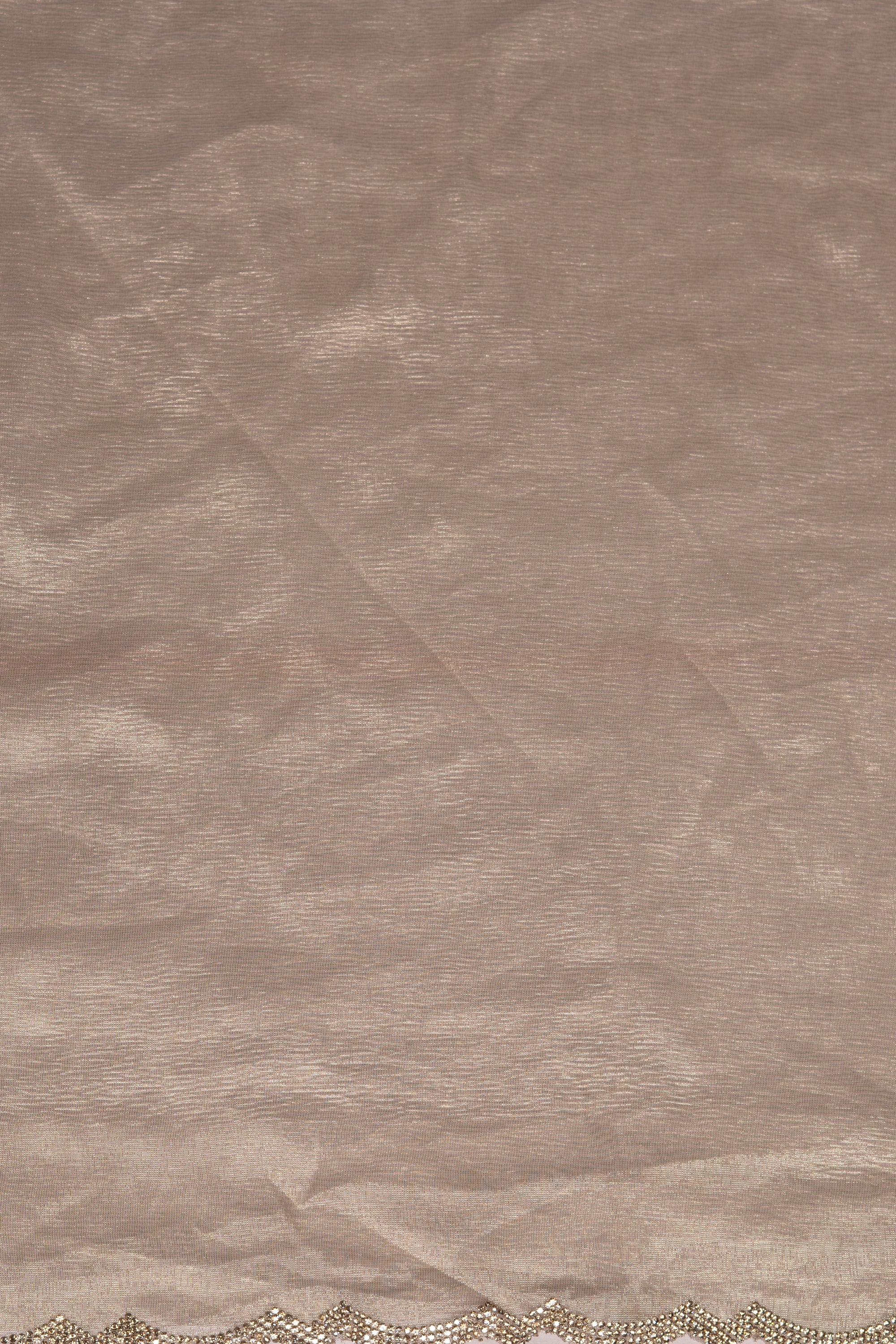 Brown Organza Saree with Stonework