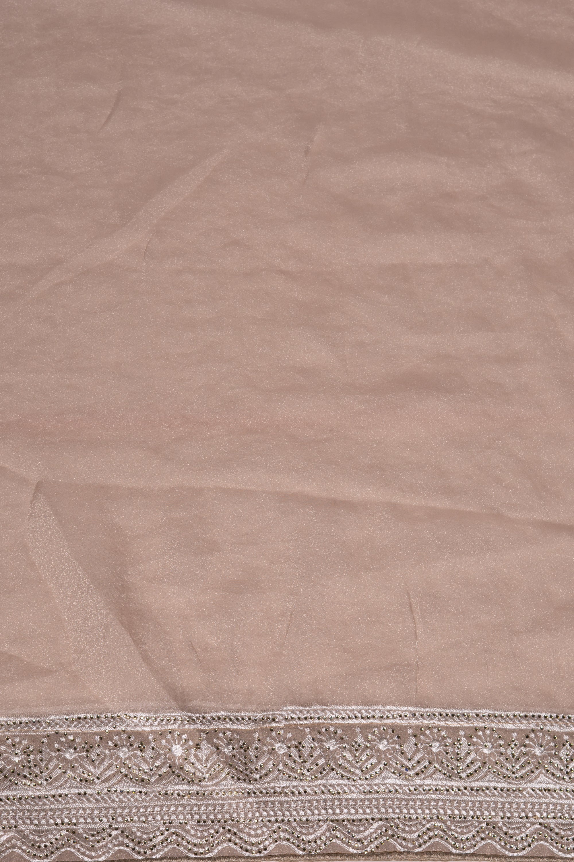 Beige Organza Saree with Stonework