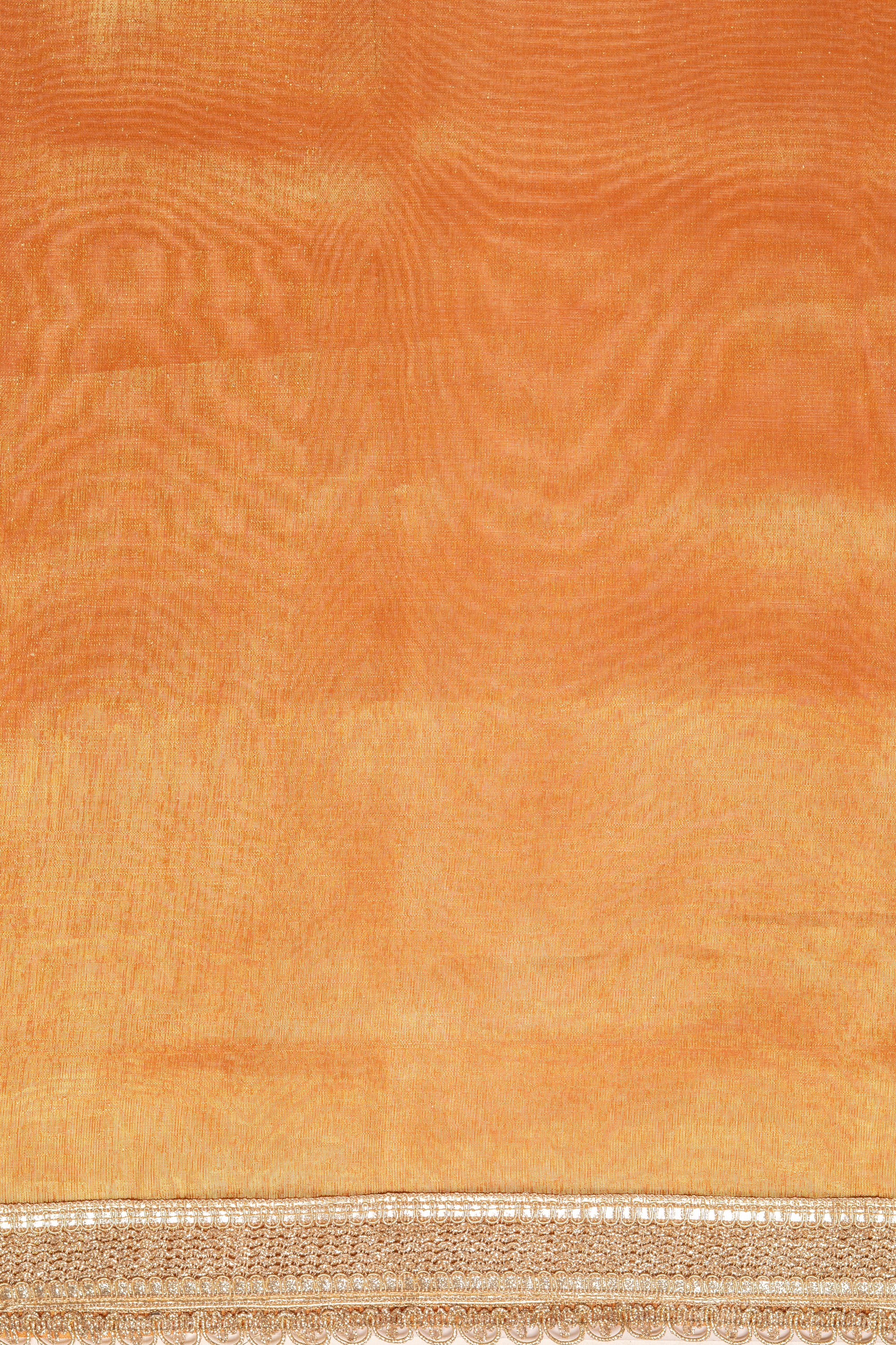 Rust Tissue Silk Saree