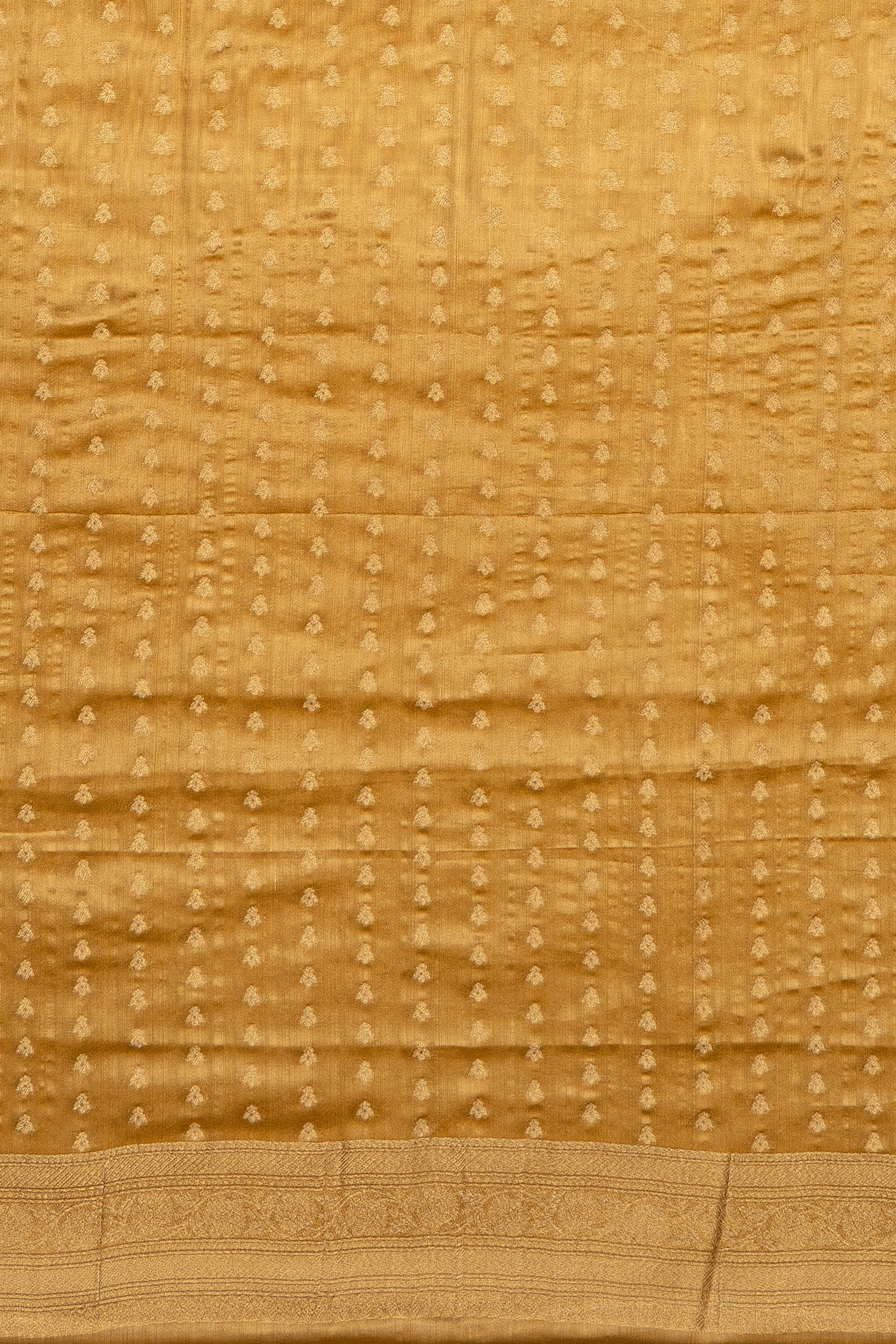 Gold Tissue Silk Saree with Zari motifs