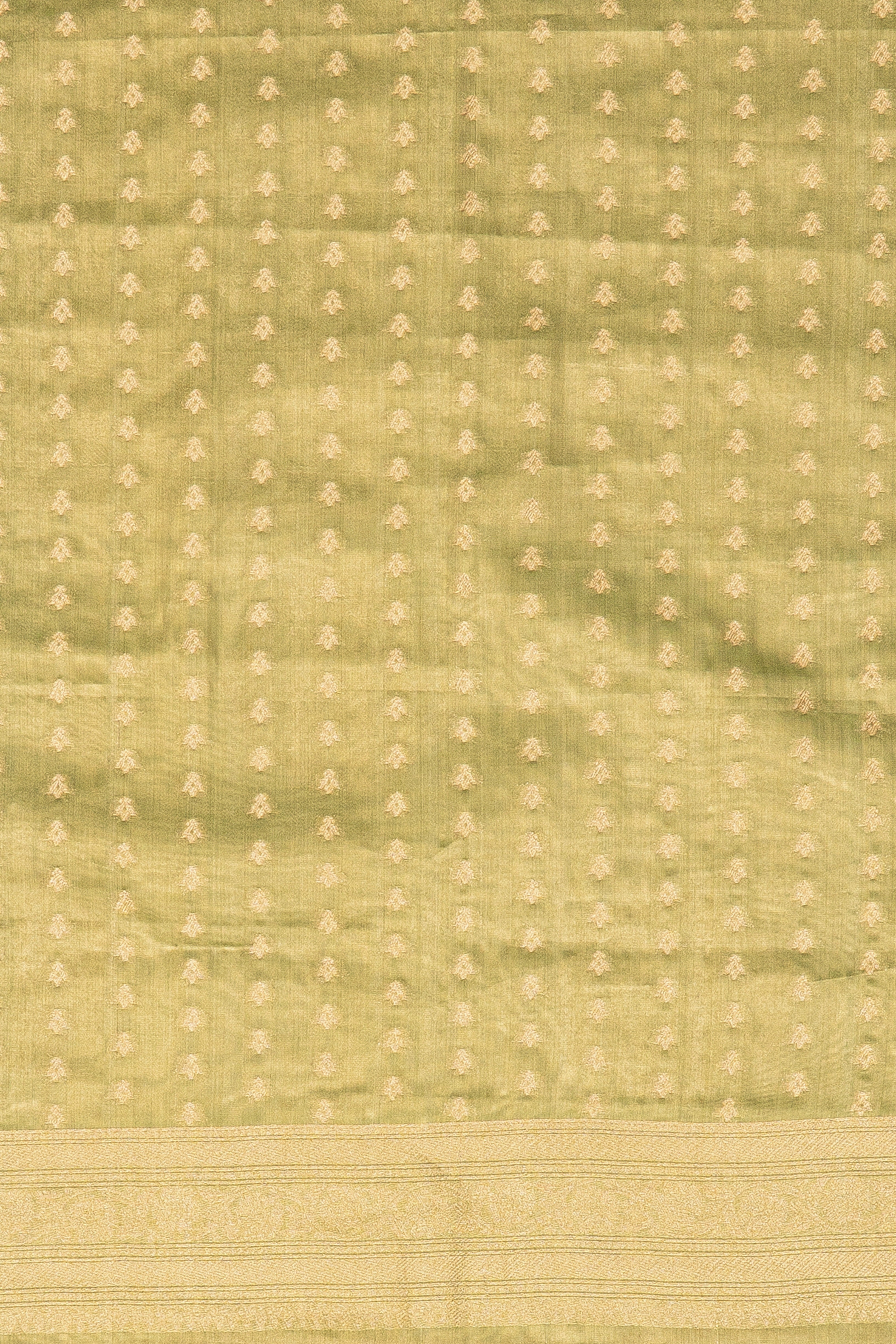 Green Tissue Silk Saree with Gold Zari motifs