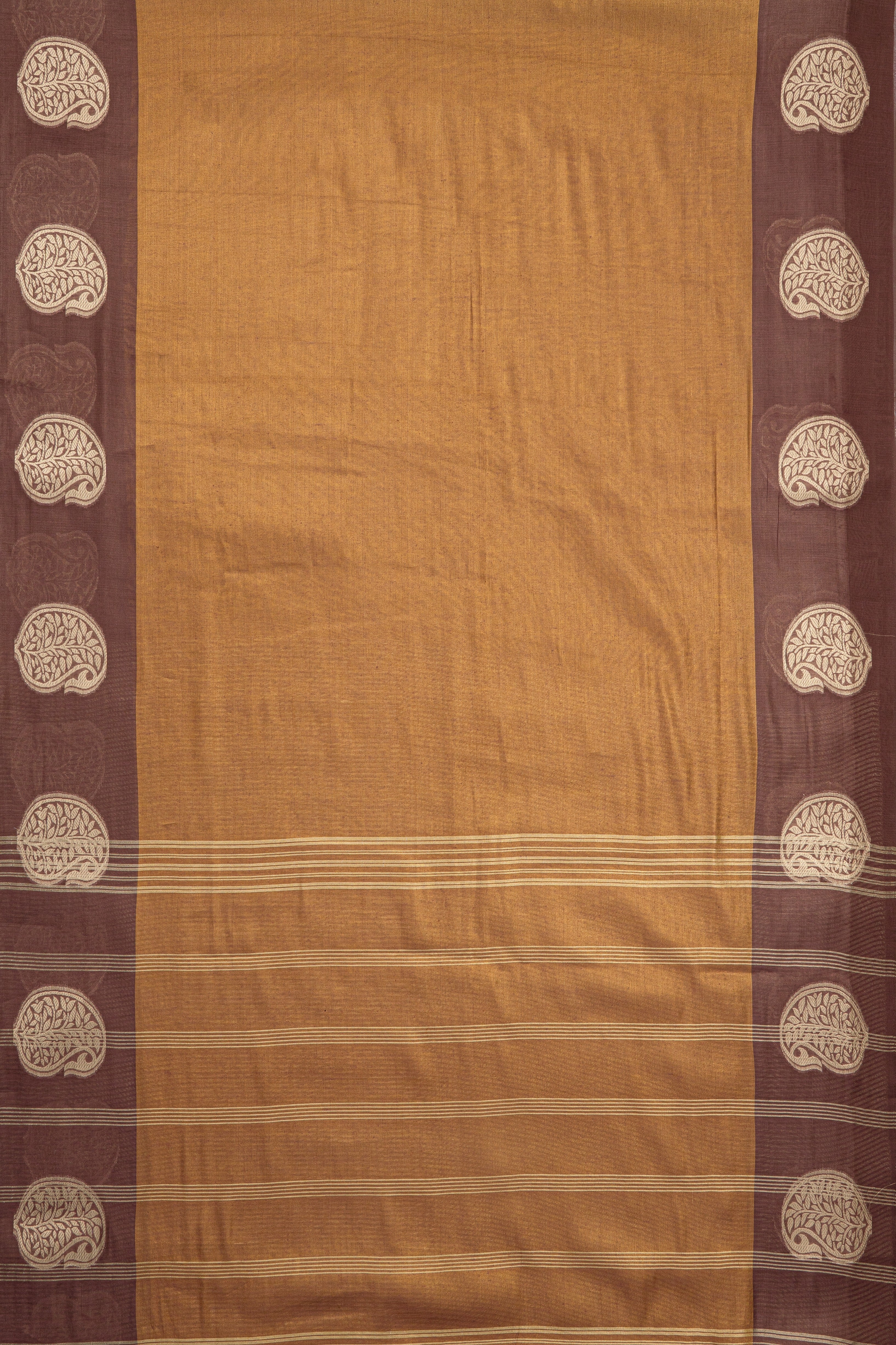 Bronze Tissue Silk Saree with contrast Dusty Pink border