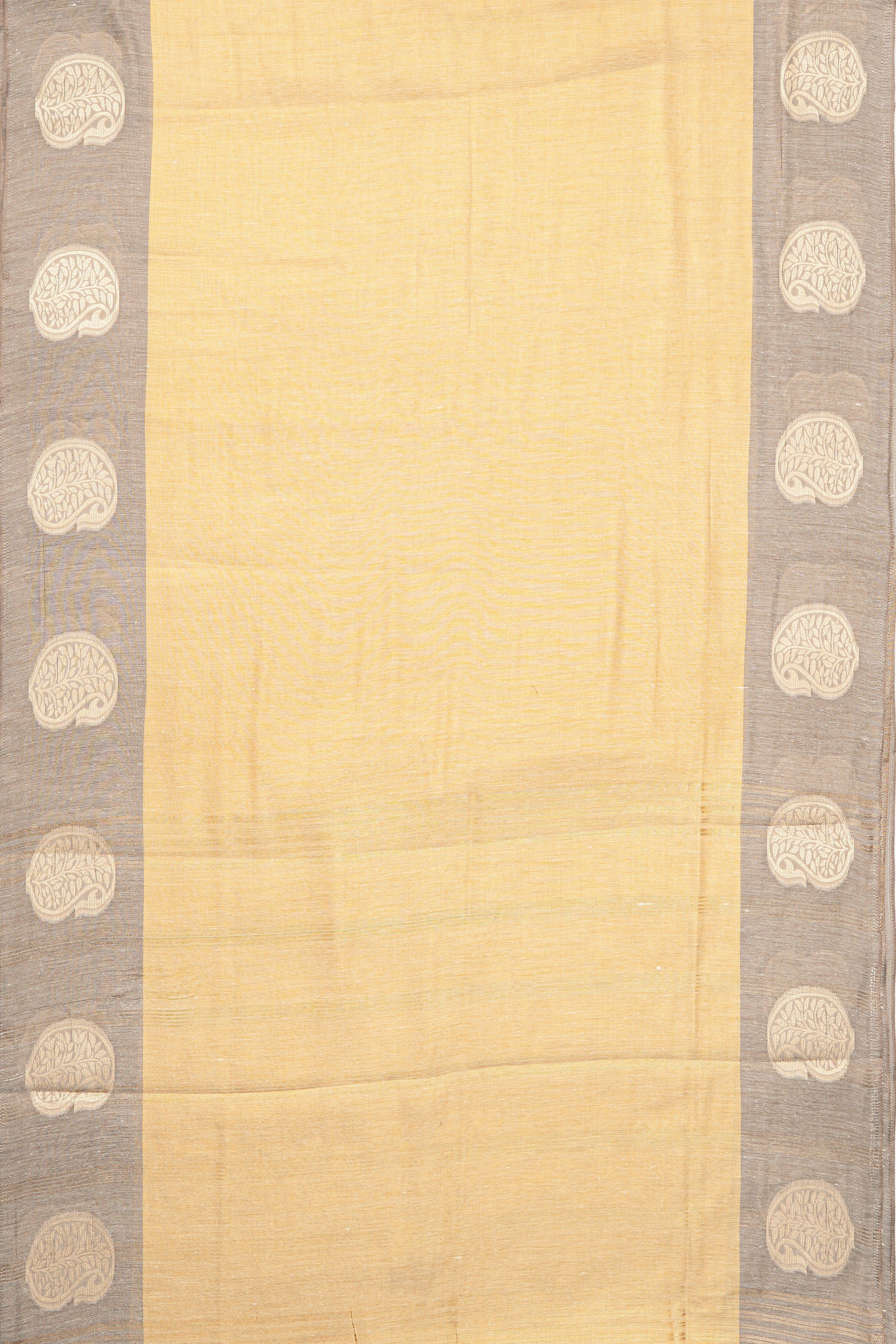 Gold Tissue Silk Saree with contrast Grey border