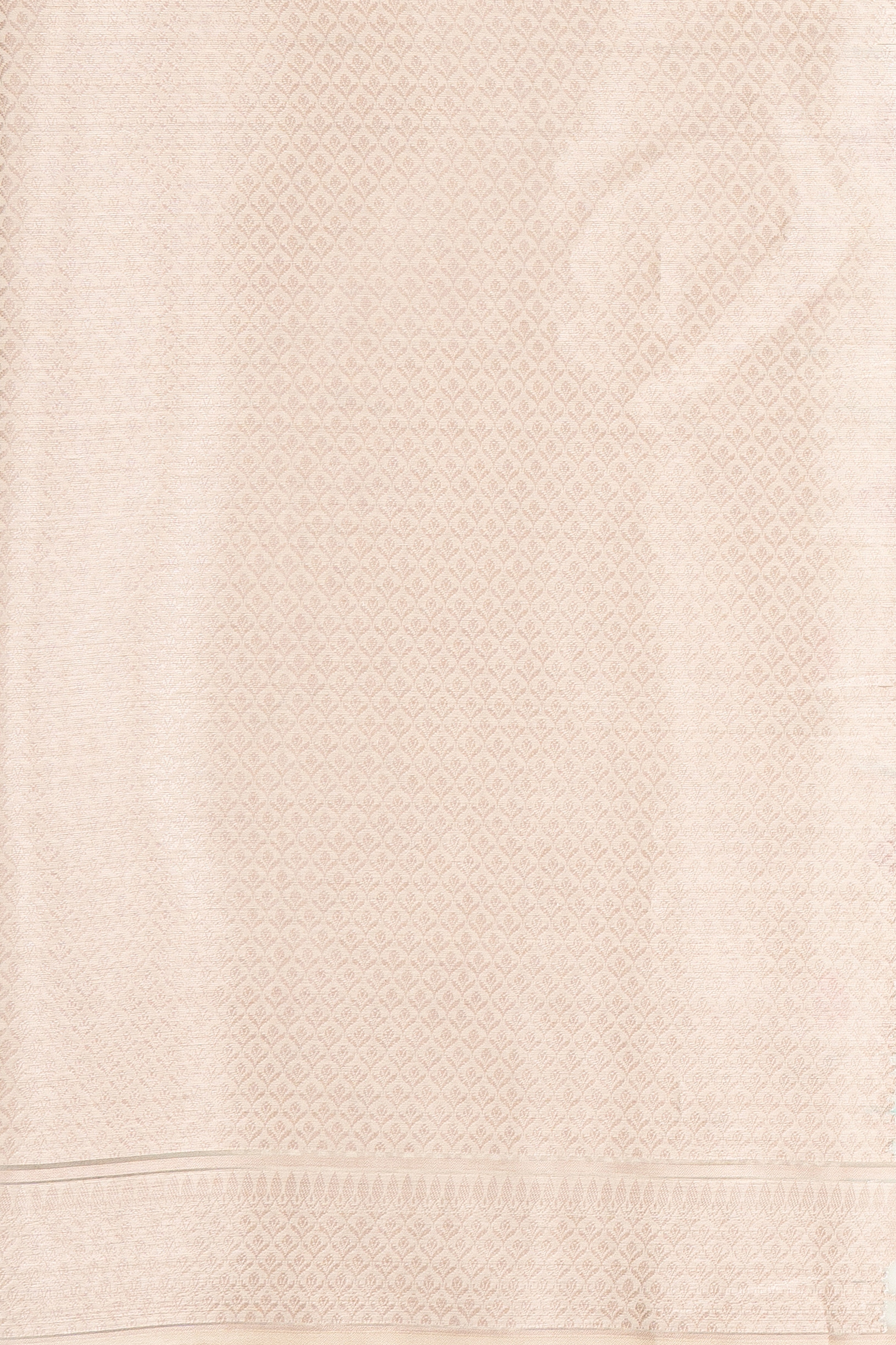 Cream Organza Saree with Veil Zariwork