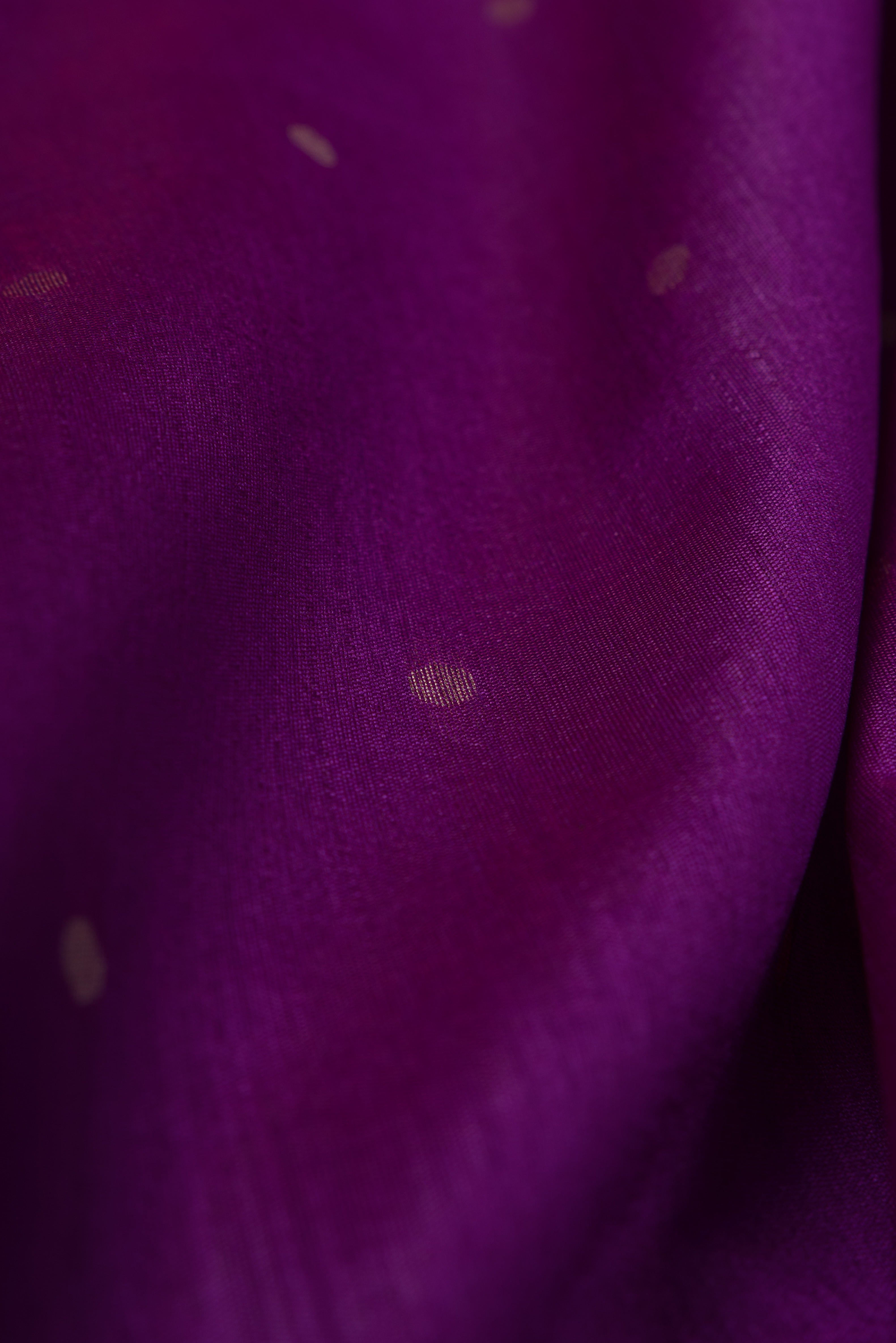 Purple Tussar Silk Paithani with Meena Pallu and Tissue blouse
