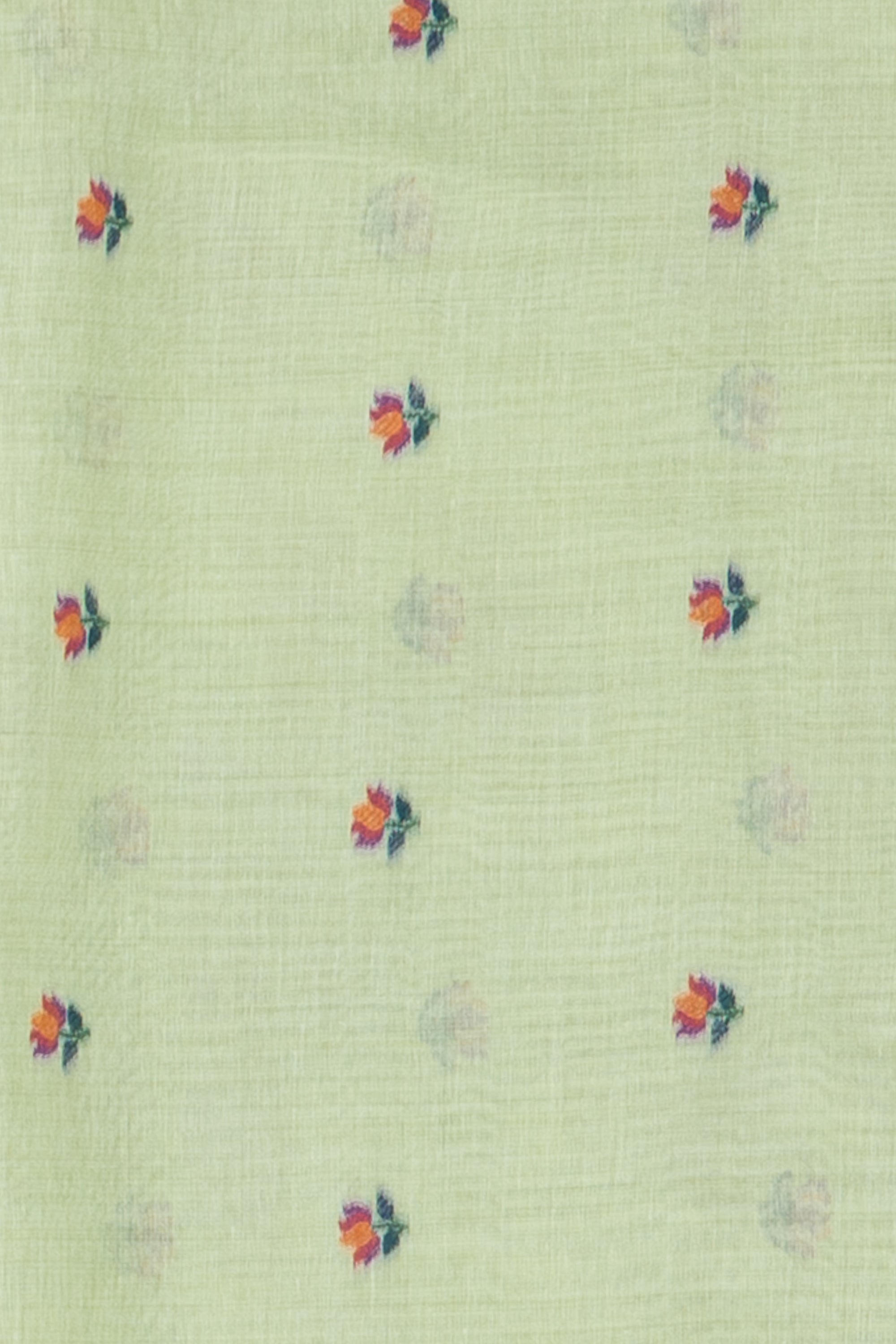 Green Cotton Saree with Padma Pallu and Resham threadwork butti