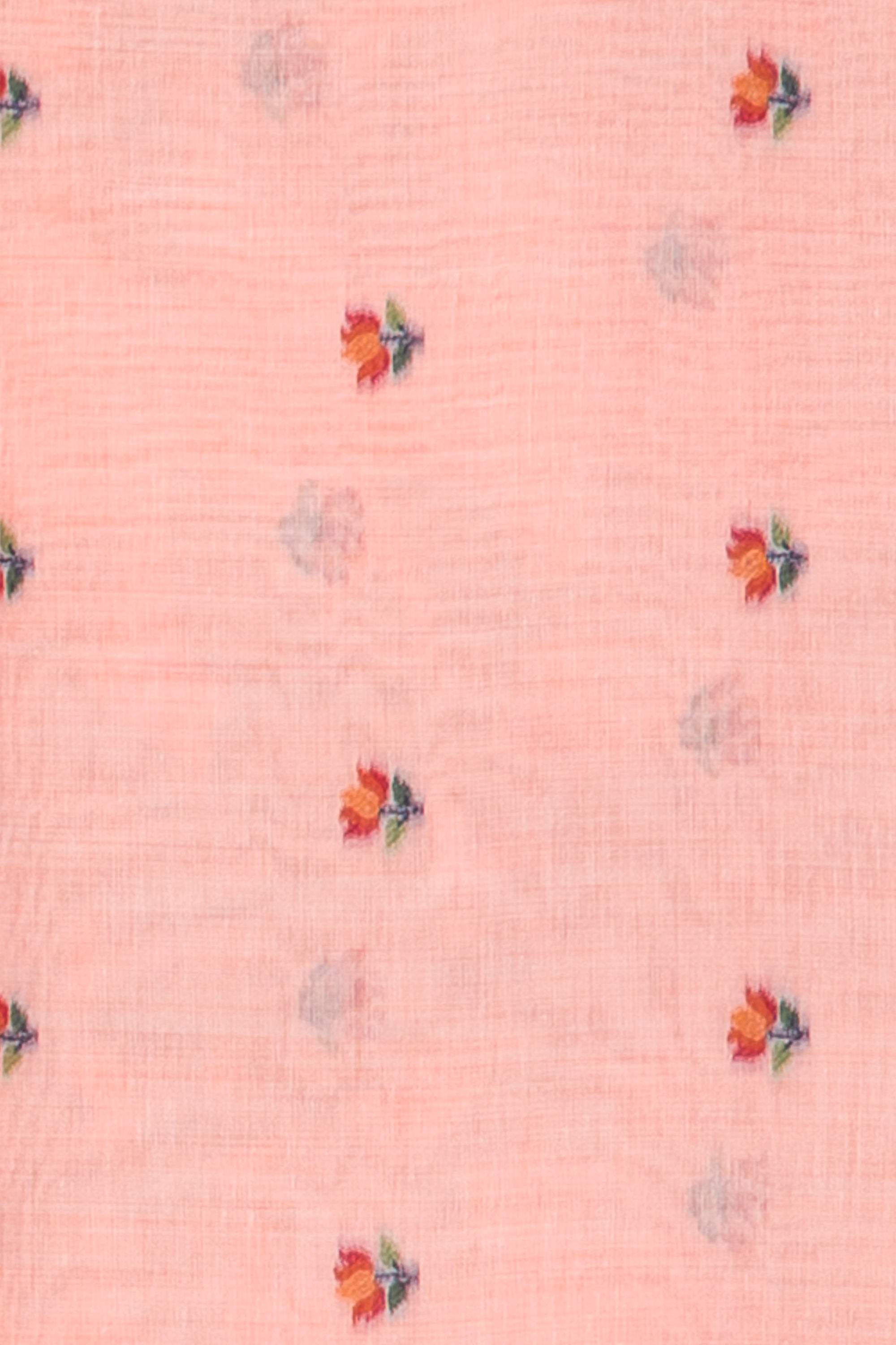 Peach Cotton Saree with Padma Pallu and Resham threadwork butti