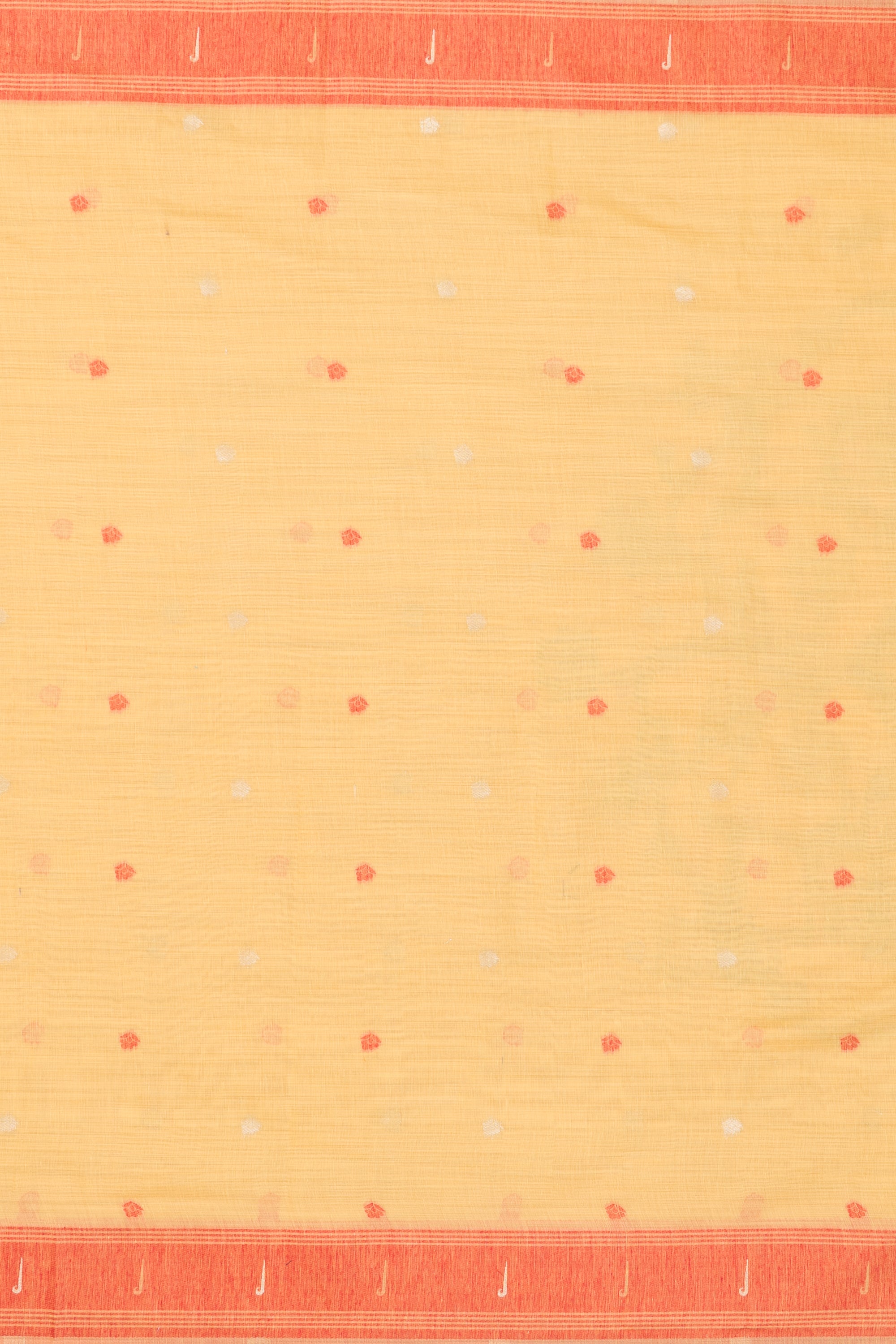 Haldi Yellow Cotton Paithani Saree with Mṛgataru-Padmāvalī Pallu and contrast Forest Munya border