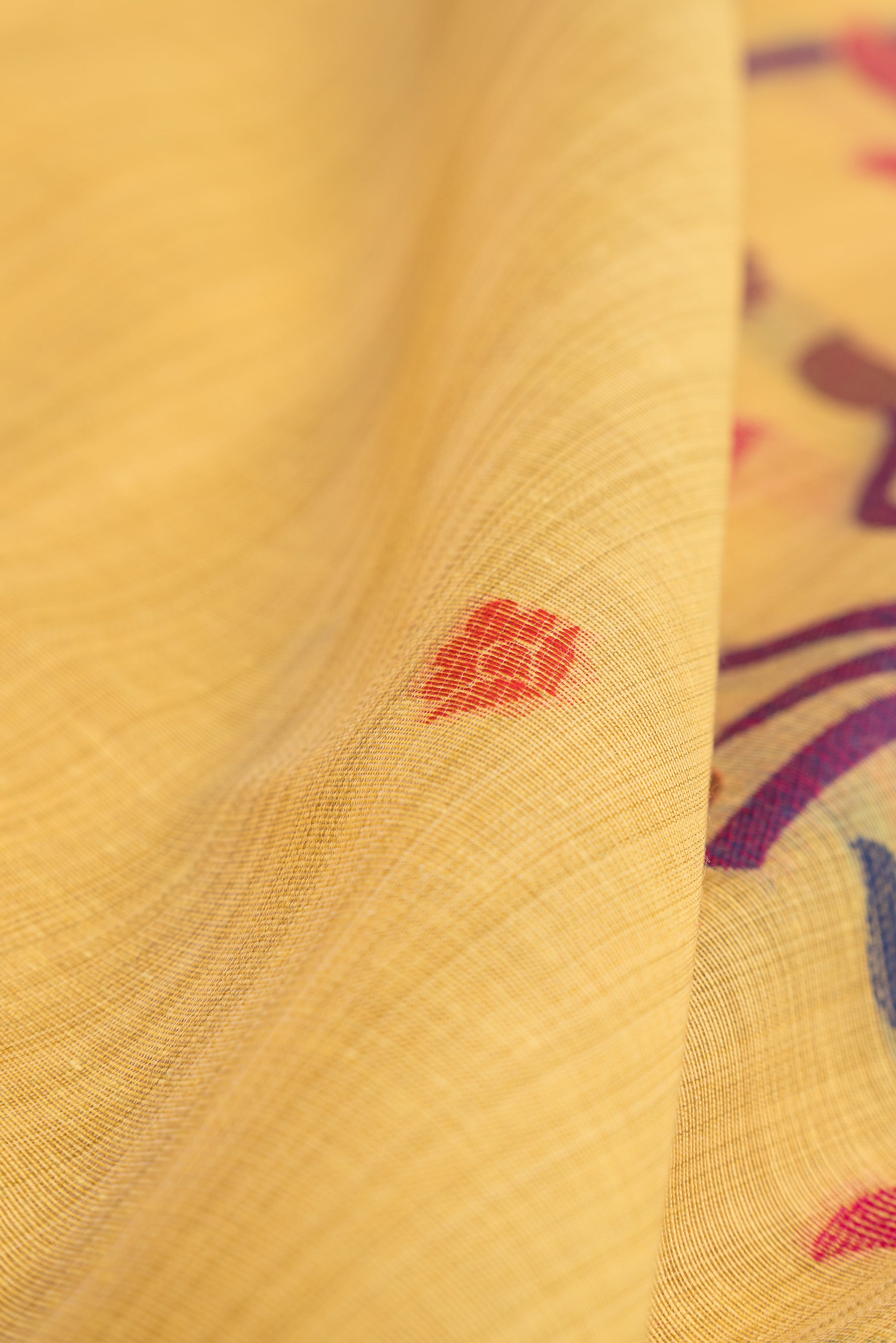 Haldi Yellow Cotton Paithani Saree with Mṛgataru-Padmāvalī Pallu and contrast Forest Munya border