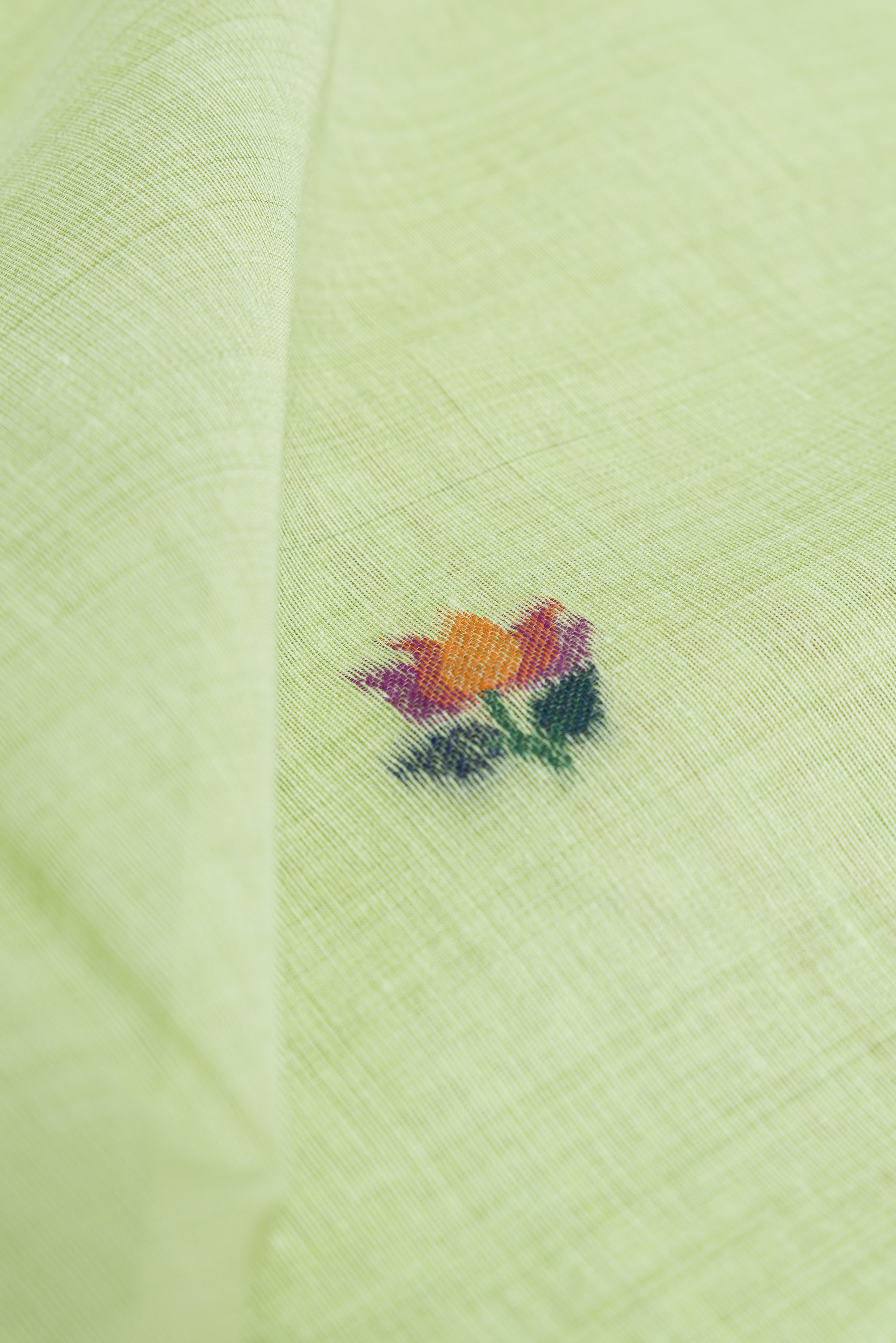 Green Cotton Saree with Padma Pallu and Resham threadwork butti