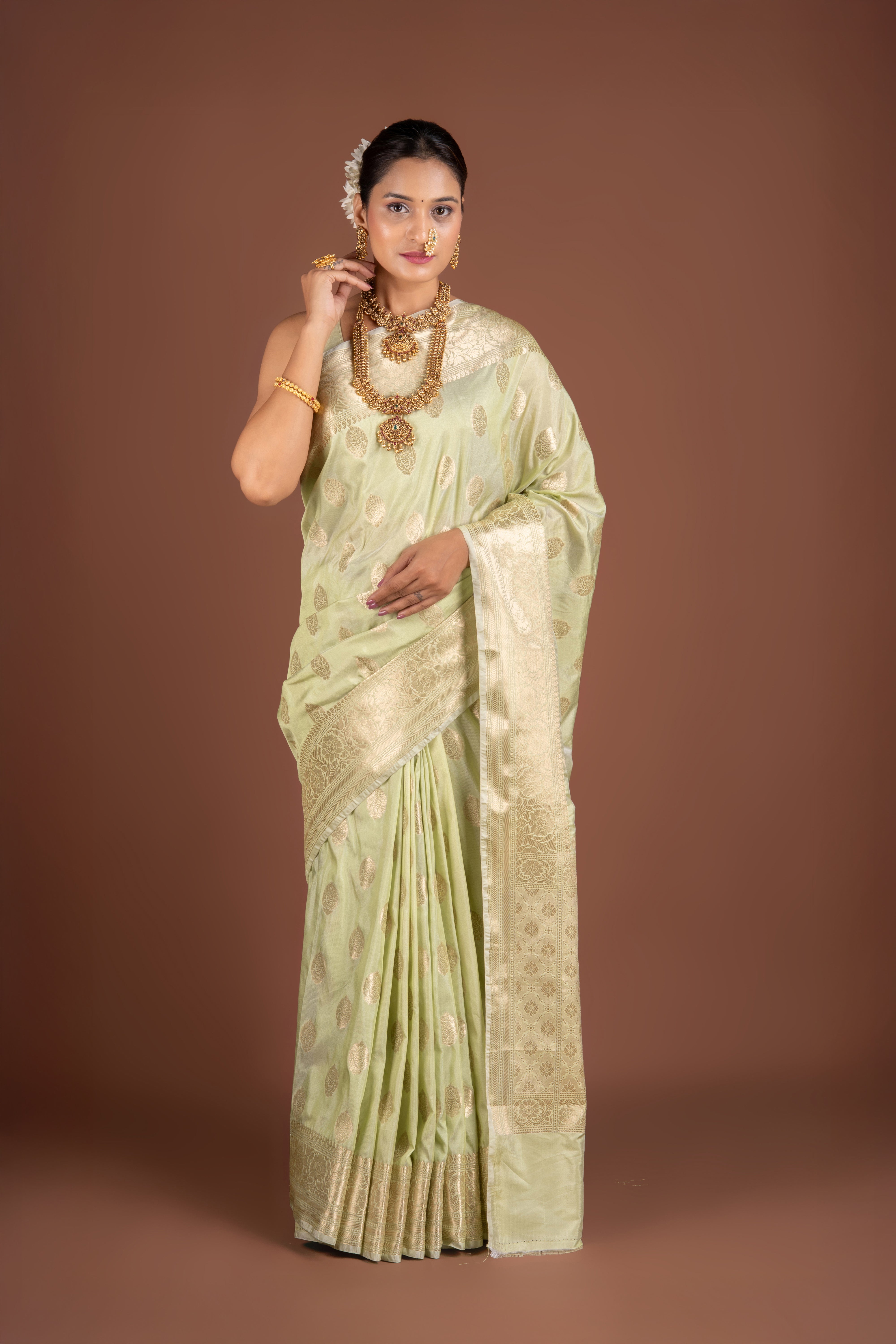 Pastel Green Katan Silk Banarasi Saree