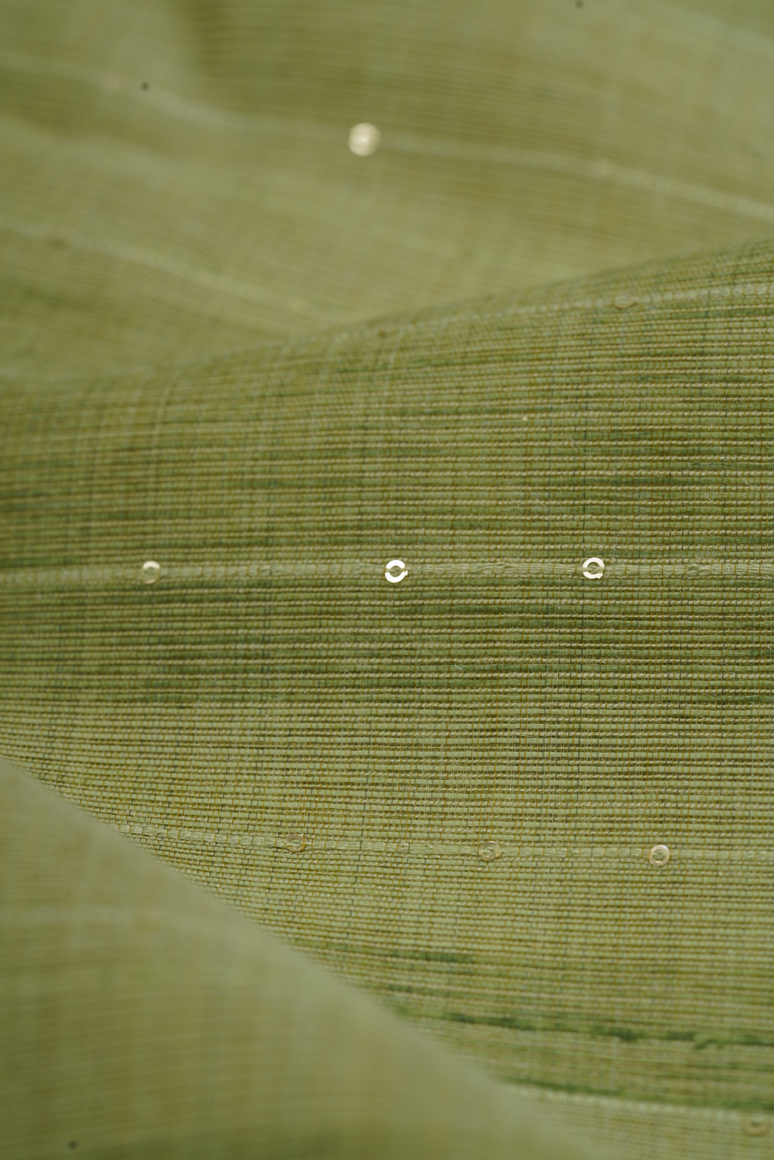Pastel Green Cotton Paithani Saree with Sequin Work and Mrig Pallu
