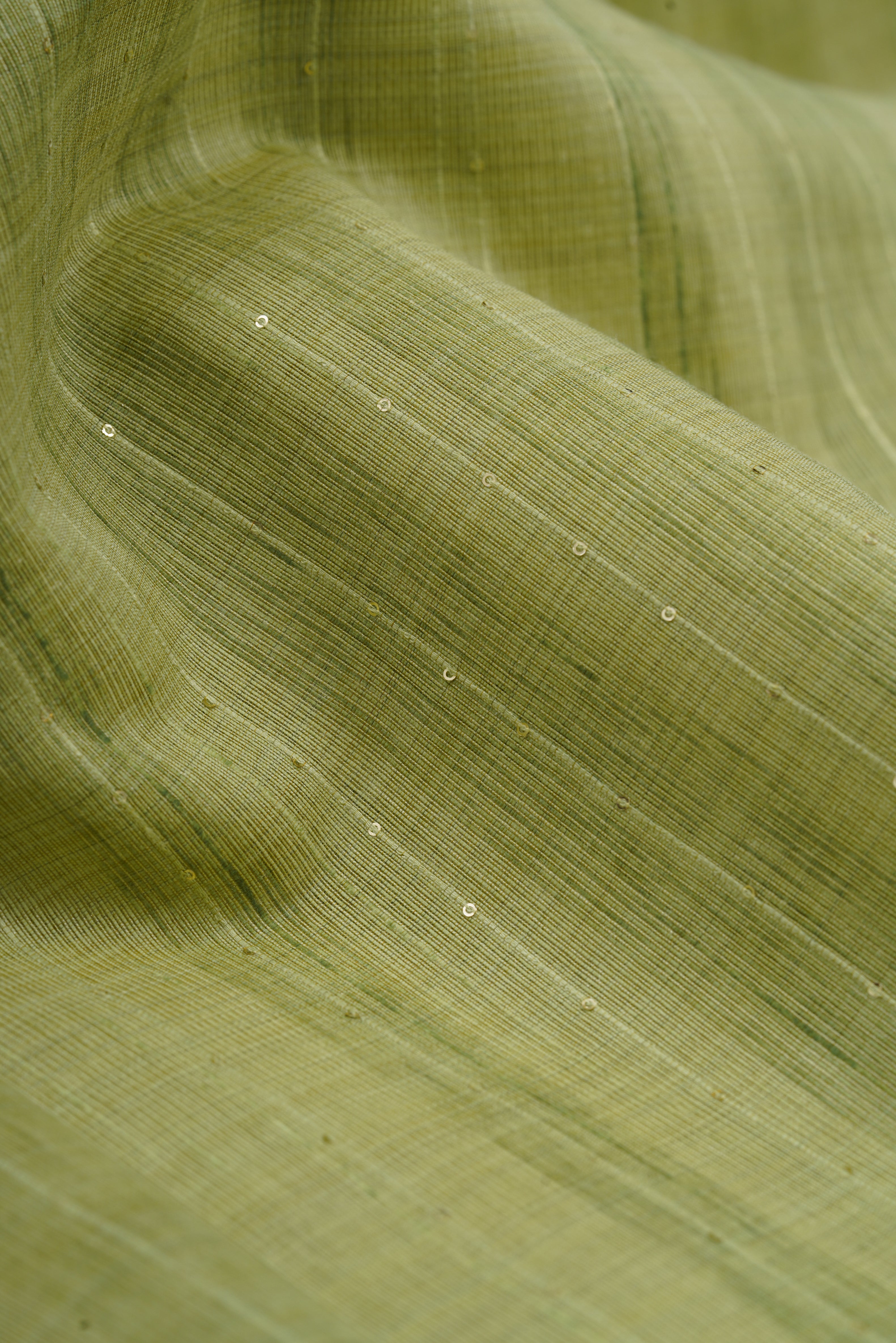Pastel Green Cotton Paithani Saree with Sequin Work and Mrig Pallu