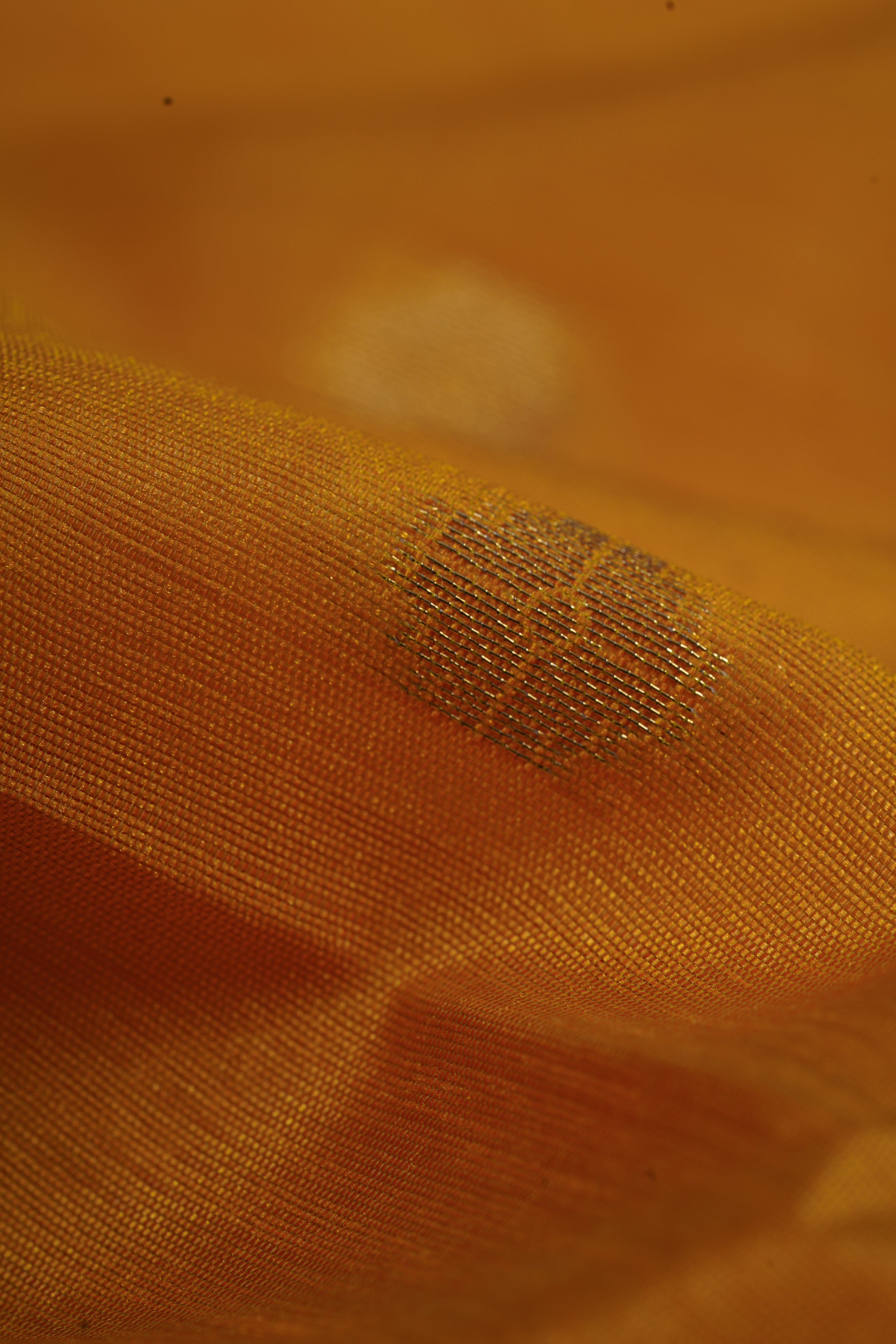 Yellow Tussar Silk Paithani Saree with Munya Border and Kamdhenu Pallu