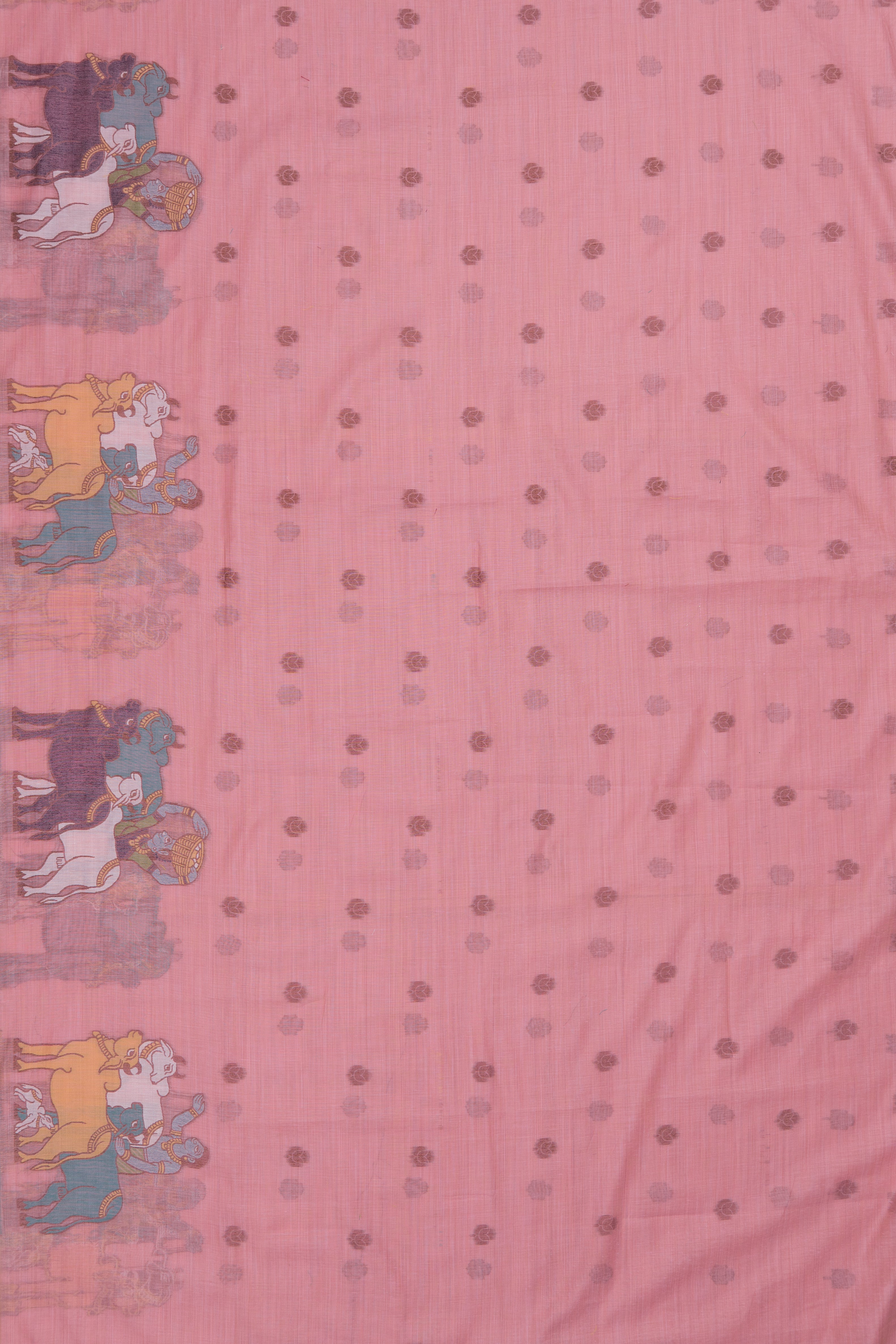 Pastel Pink Pure Cotton Saree with Nandi Pallu and contrast blouse
