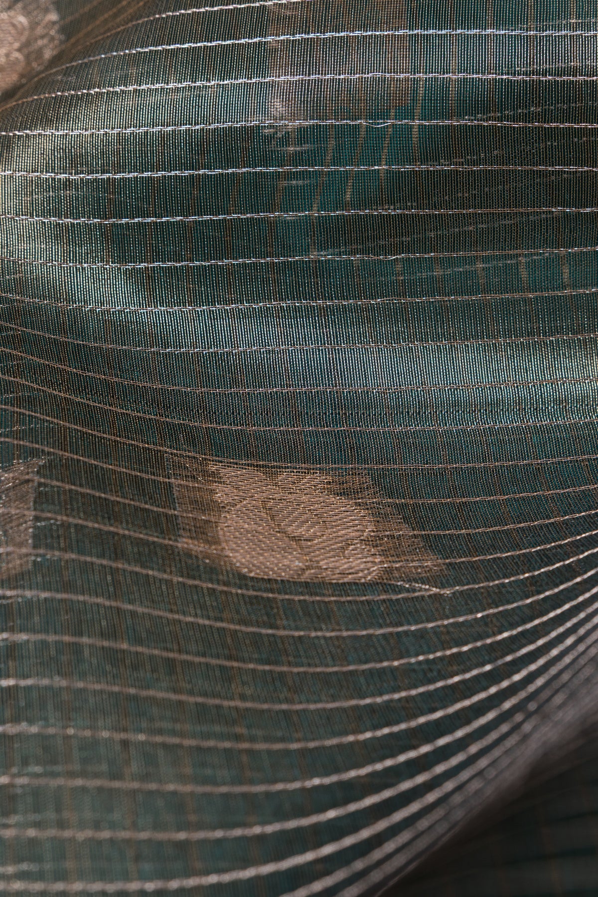 Deep Green Chanderi Silk Checks Paithani Saree with Gold Mayur Butti & Traditional Zari Pallu