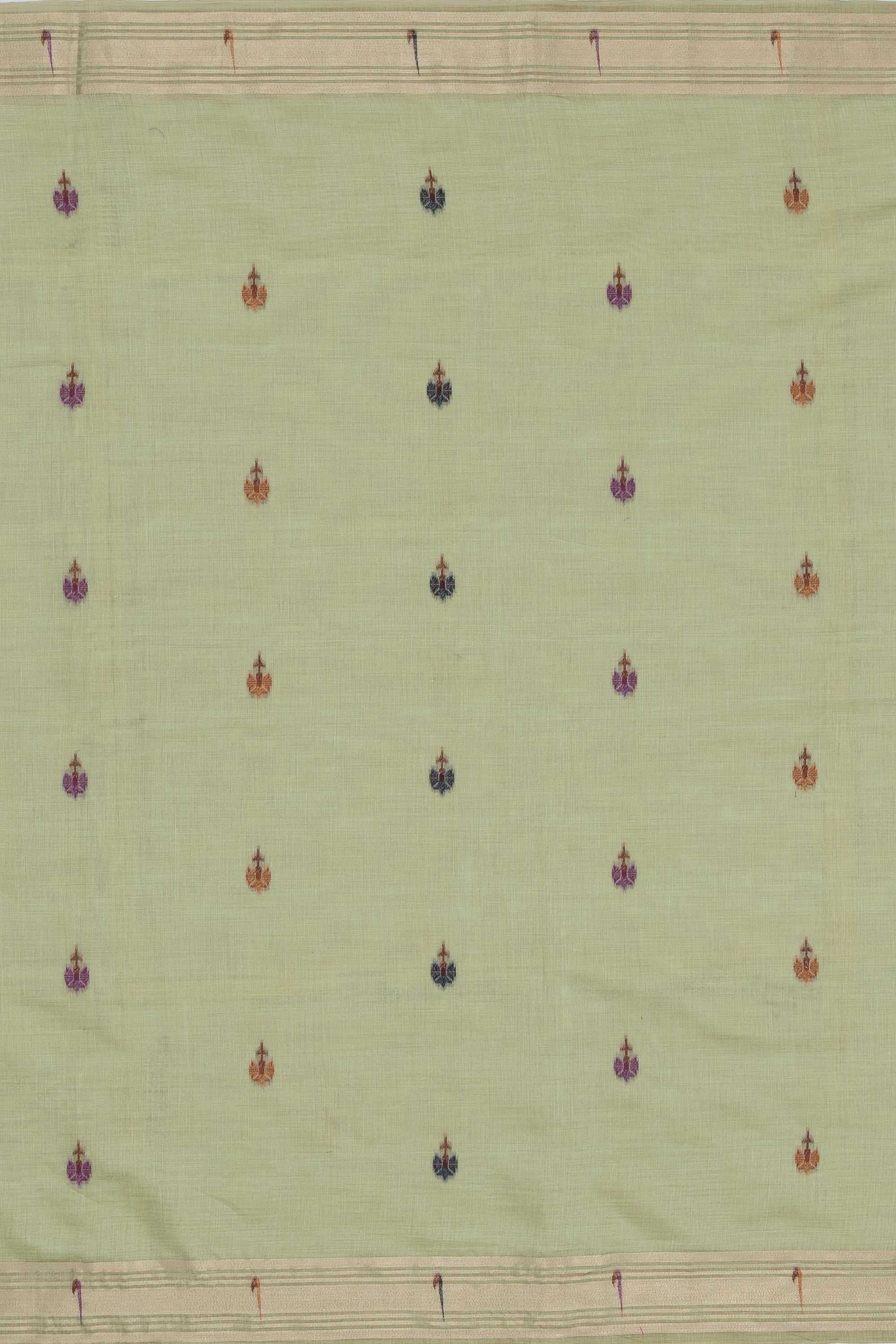 Pastel Green Cotton Paithani Saree with Asawali-Prasūna Pallu