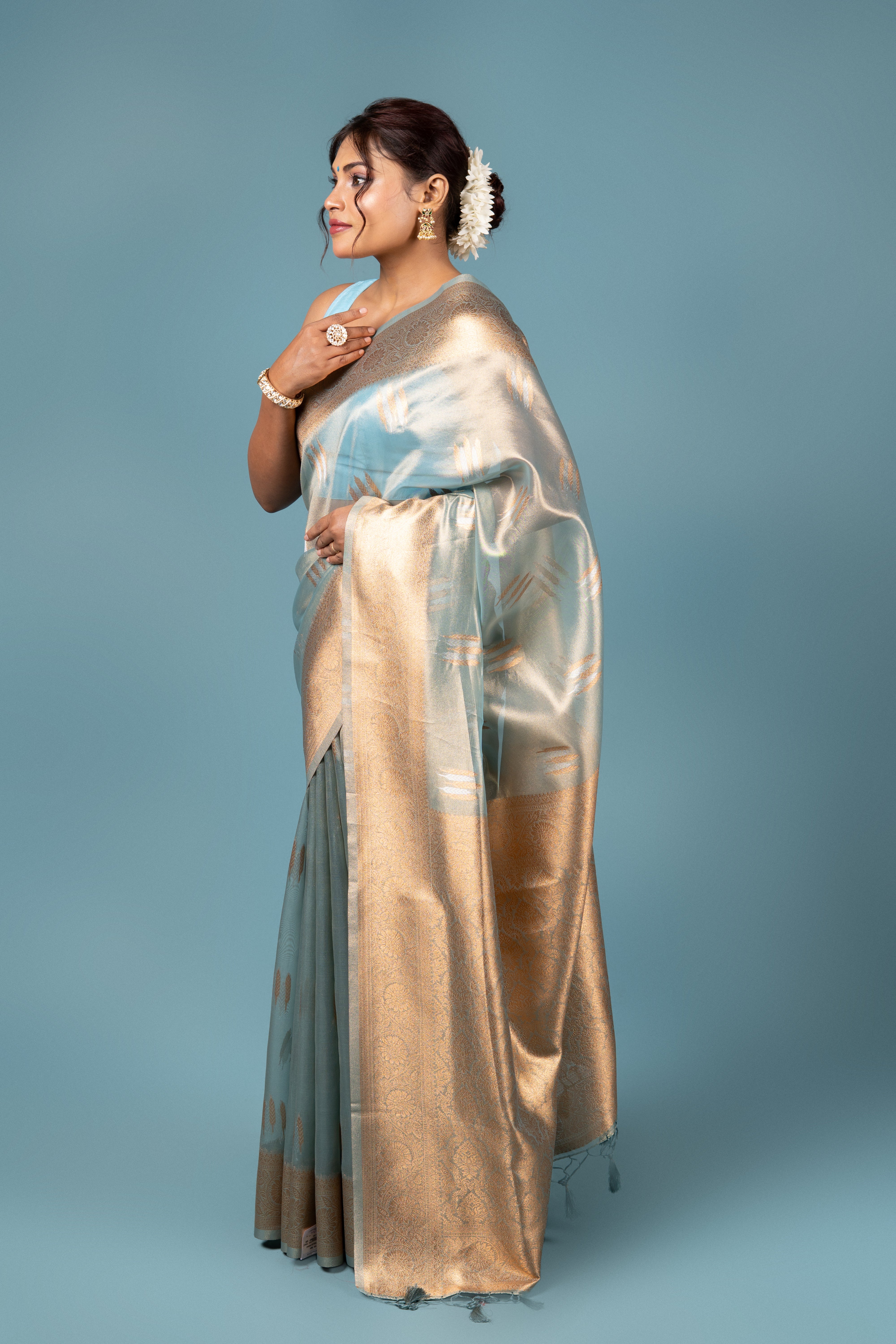 Pastel Blue Tissue Silk Saree