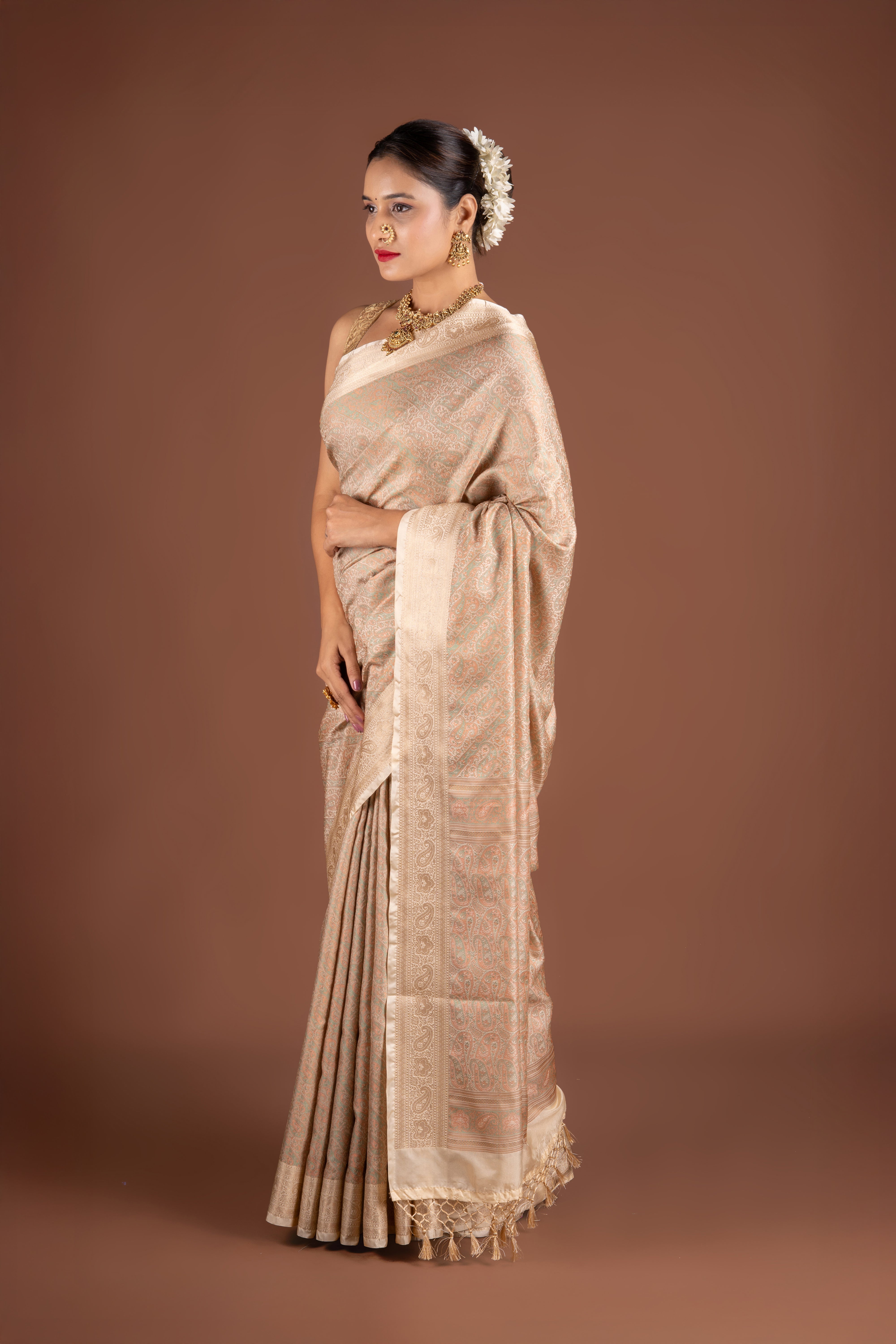 Cream Dola Silk Pashmina Saree