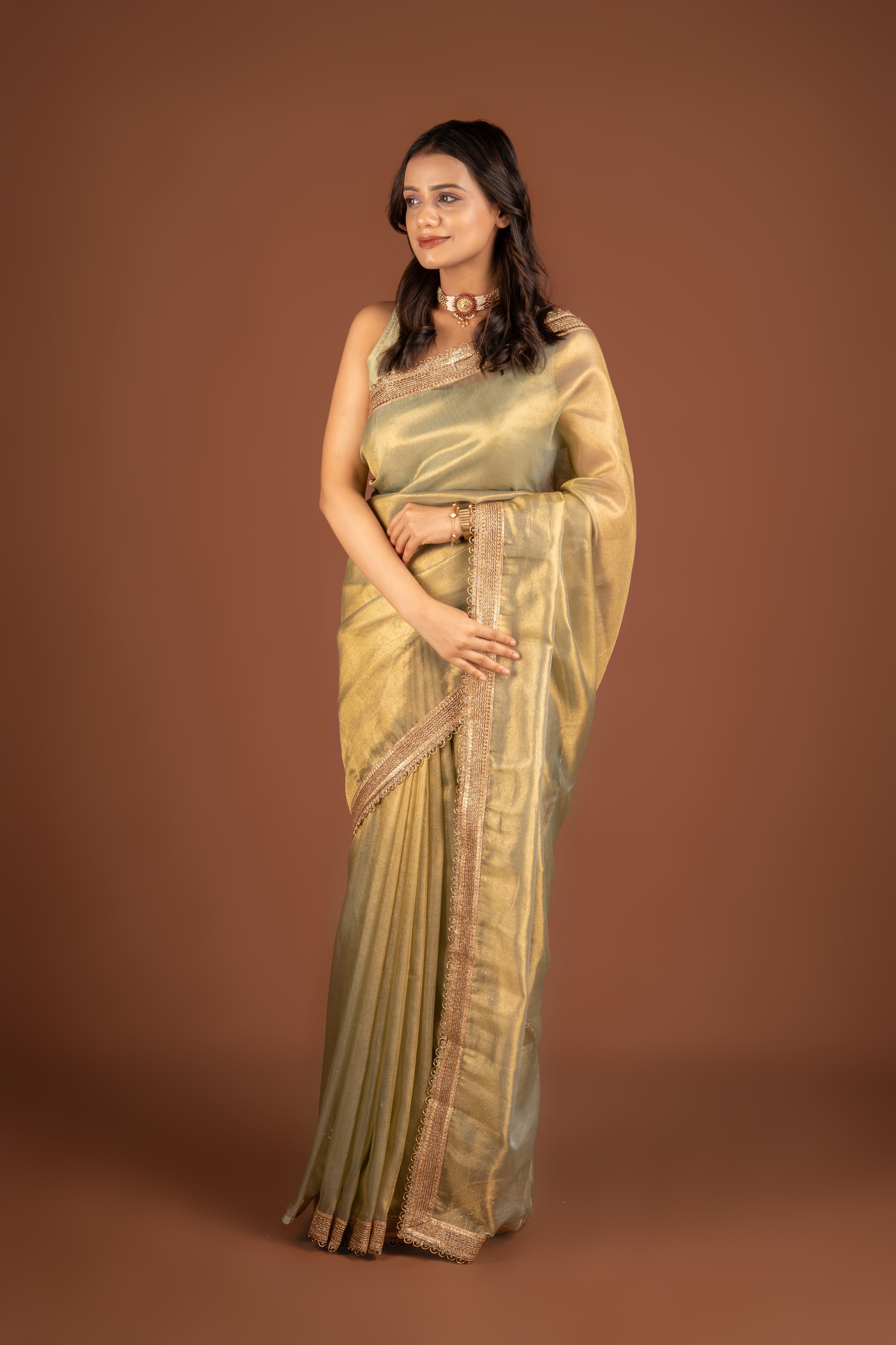 Pastel Green Tissue Silk Saree