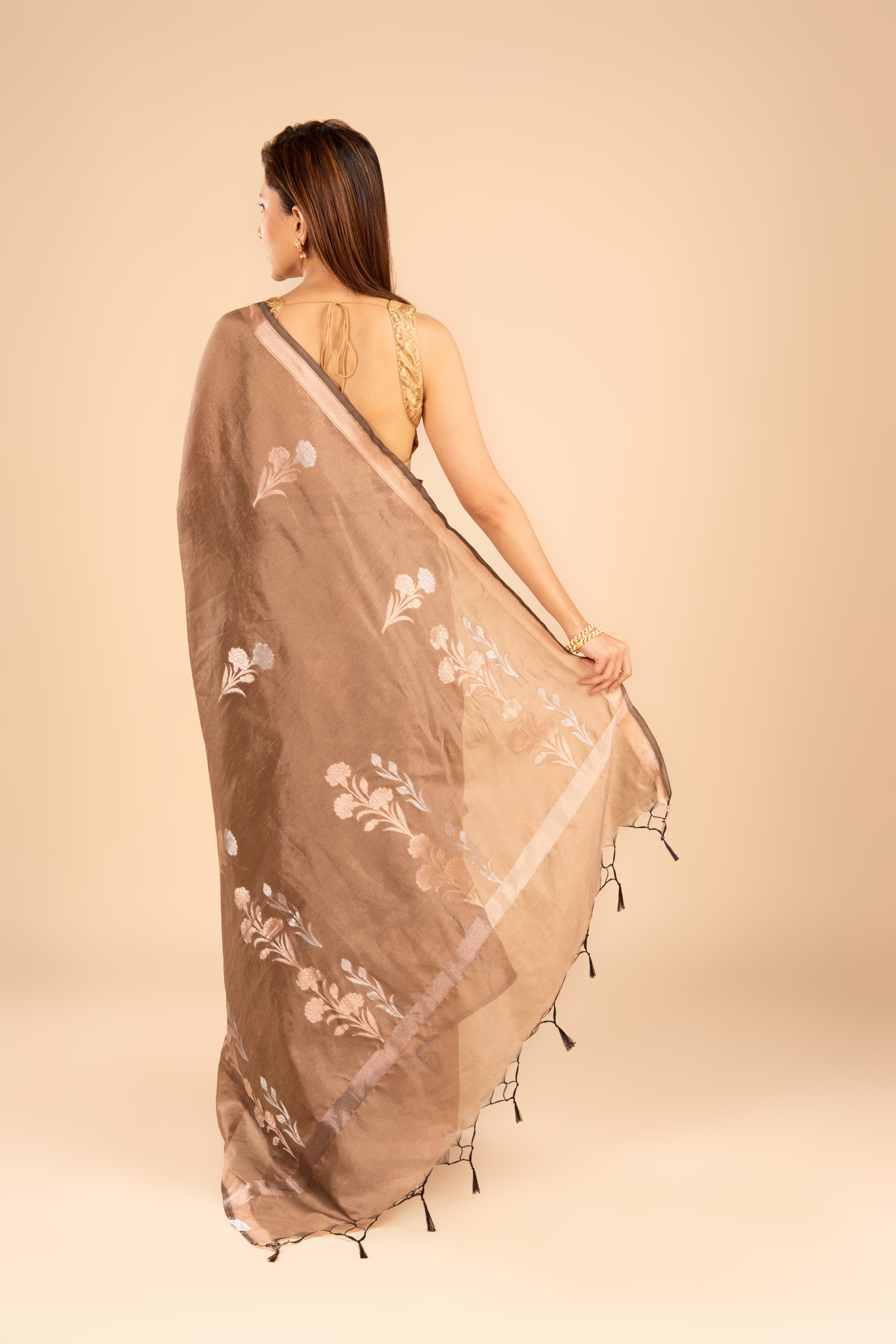Brown Tussar Silk Saree