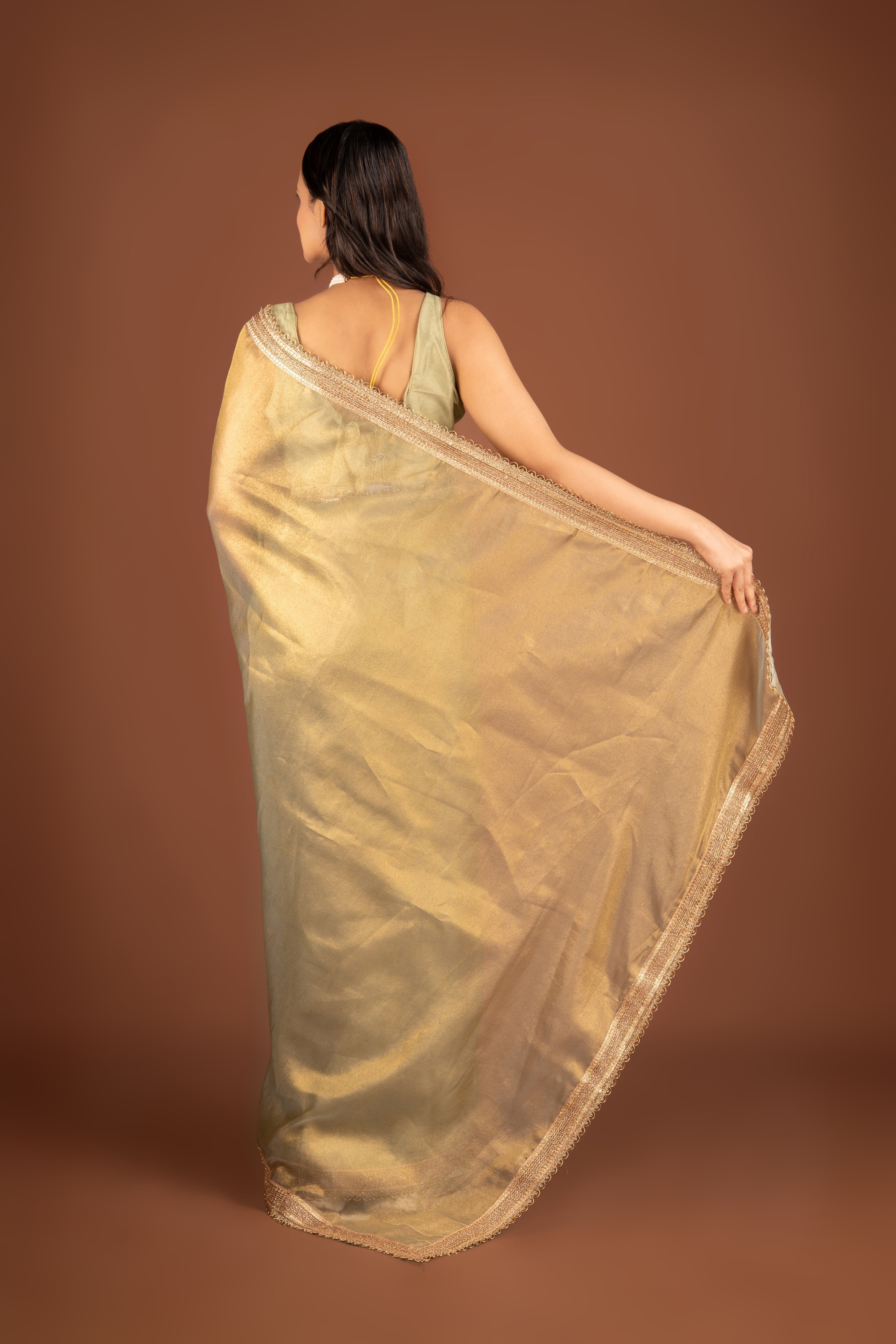 Pastel Green Tissue Silk Saree