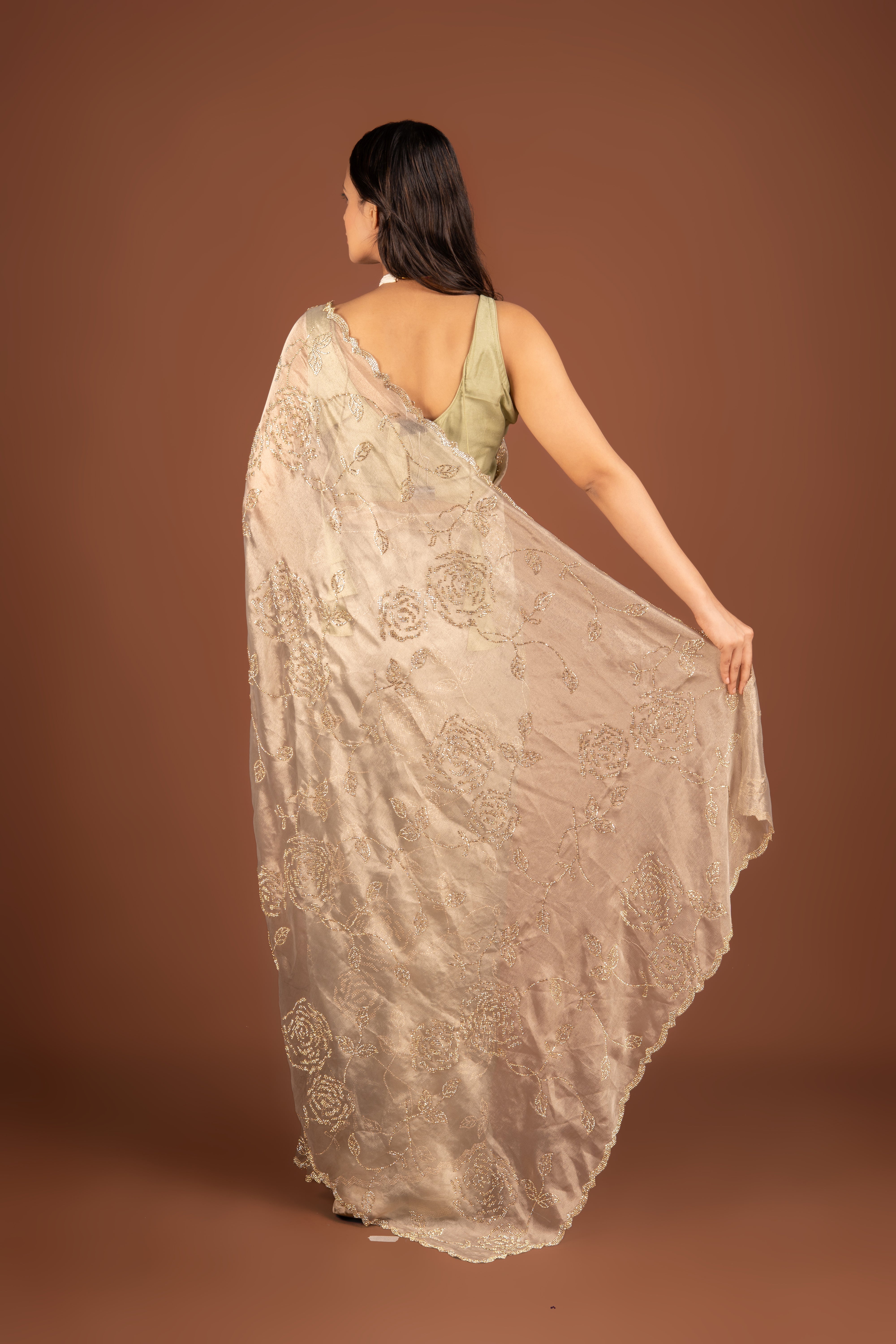 Brown Organza Saree with Stonework
